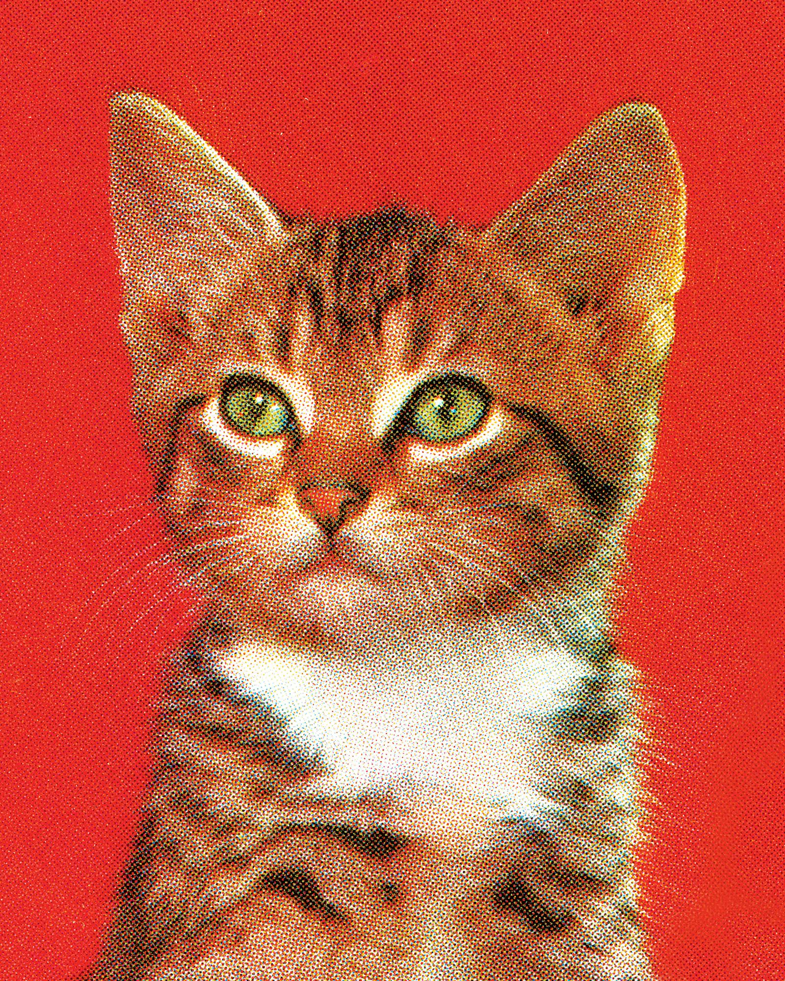 Federal court vacates funding plan for SEC’s massive market monitoring system thumbnail