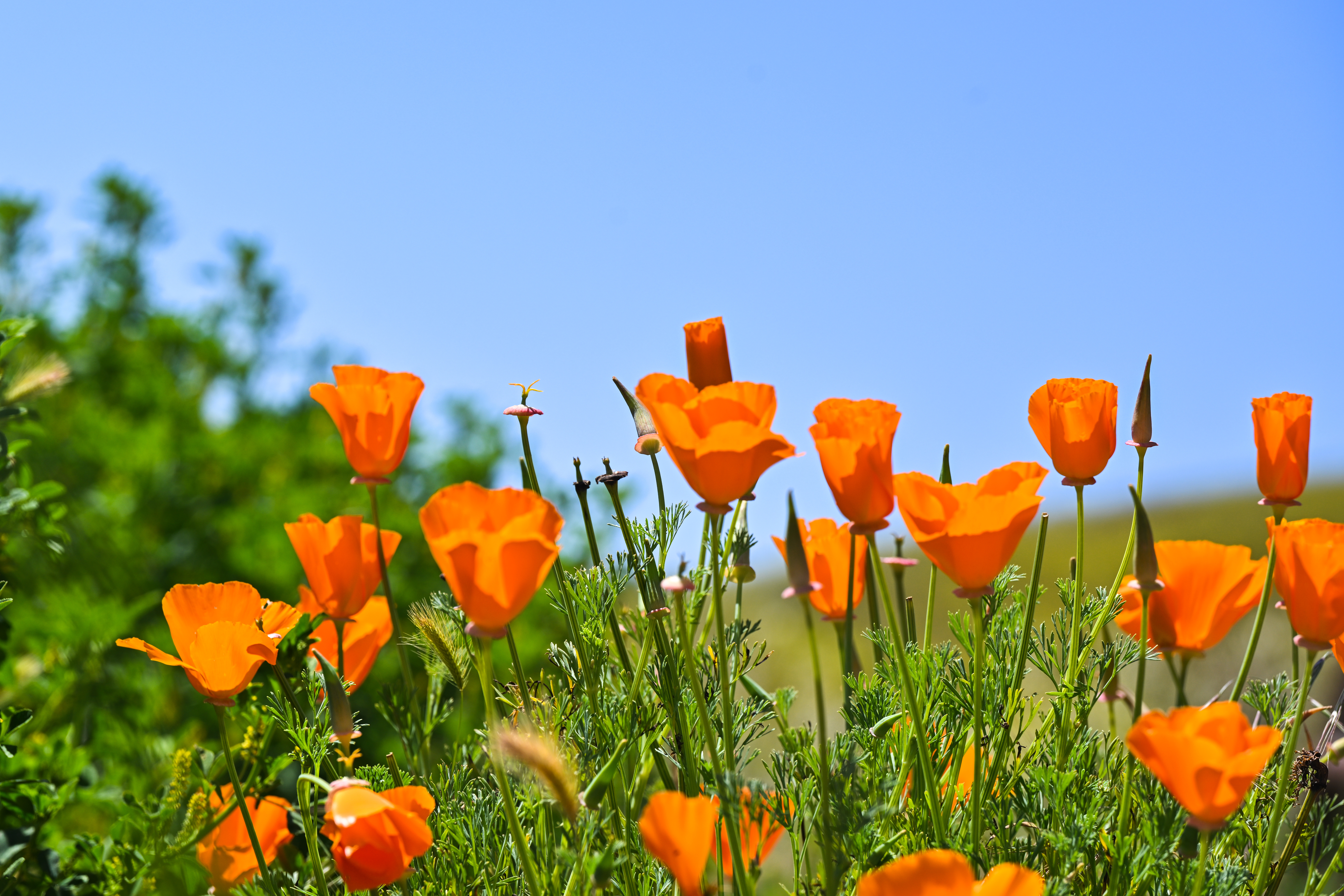 Bloom Energy reports Q3 numbers 