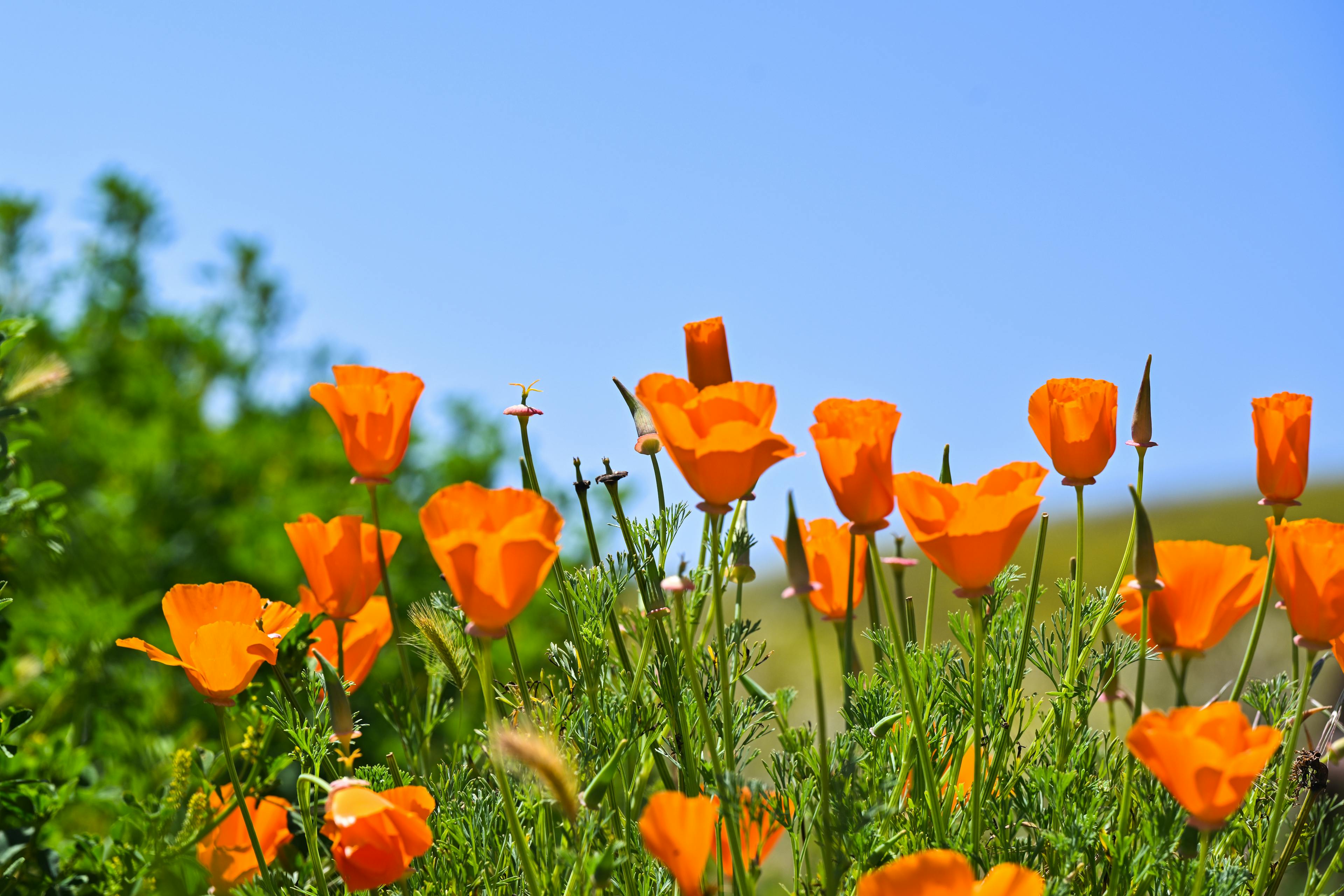 Bloom Energy reports Q3 numbers 