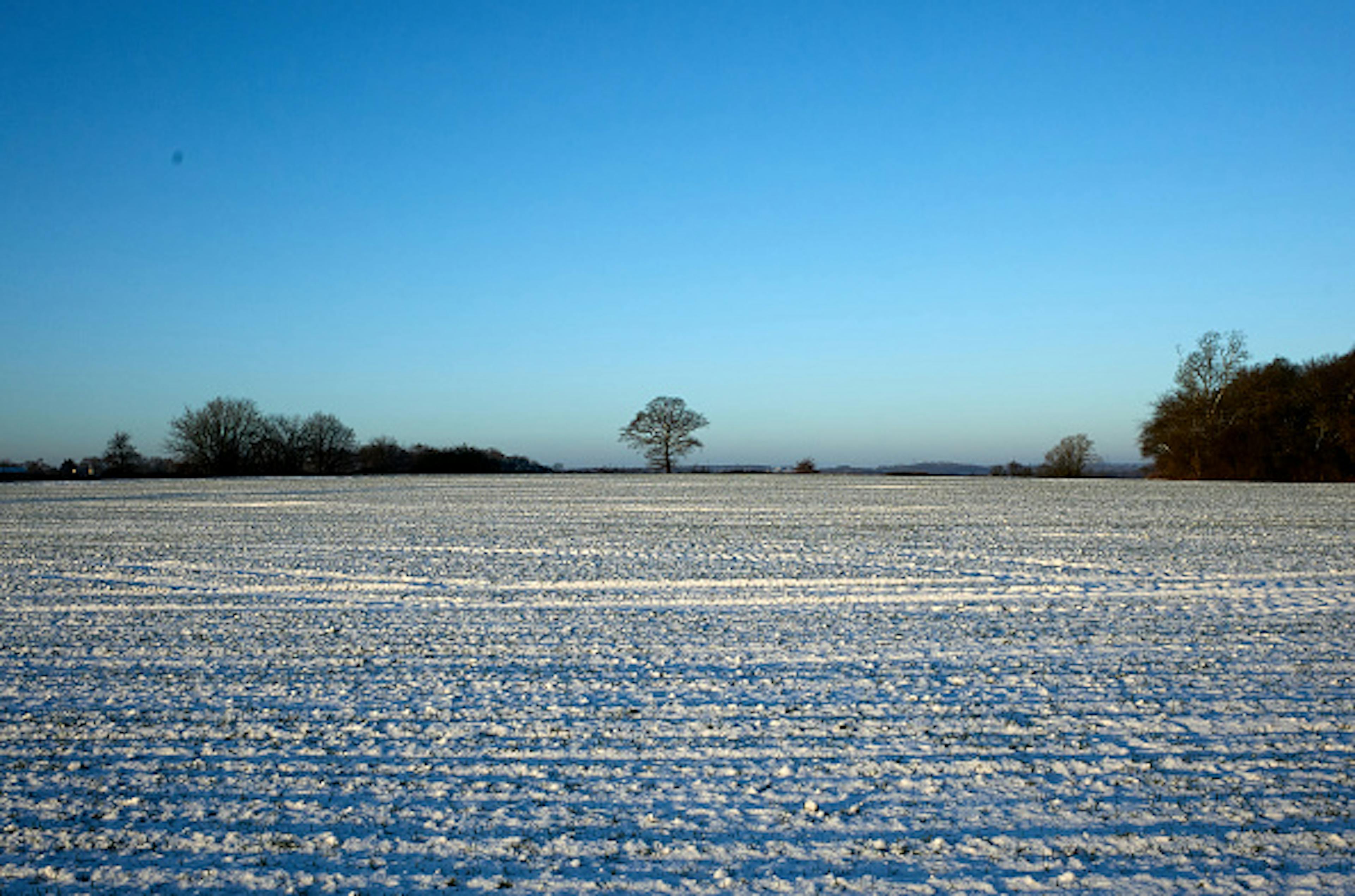 BISHOP'S STORTFORD, ENGLAND - JANUARY 25: Snowfall in the Essex countryside on January 25, 2021 in Bishop's Stortford, Essex, United Kingdom.