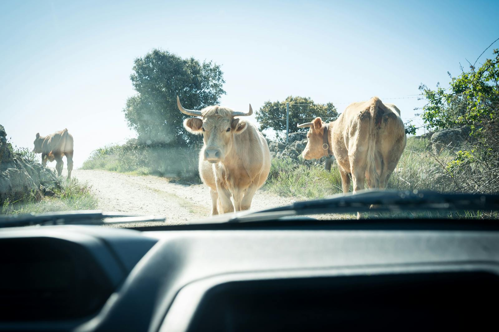 S&P 500 shakes off down day for tech heavyweights to finish higher thumbnail