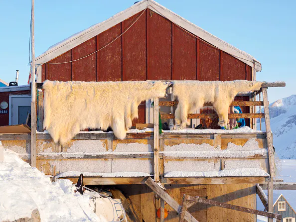 Stocks jump as Trump backs off European tariff threats, says “I won’t use force” to acquire Greenland thumbnail