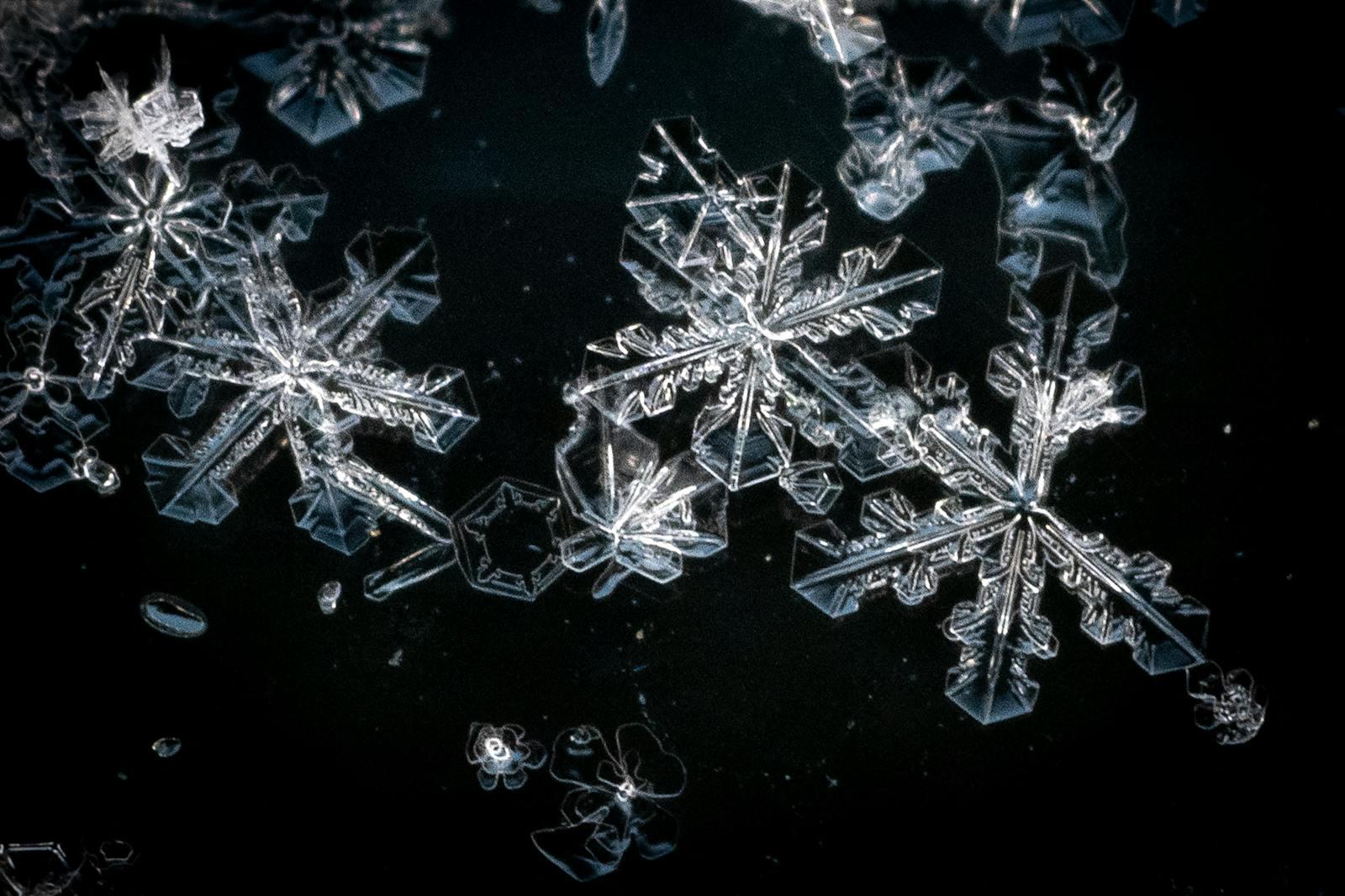 Snowflake jumps on Palantir partnership announcement thumbnail