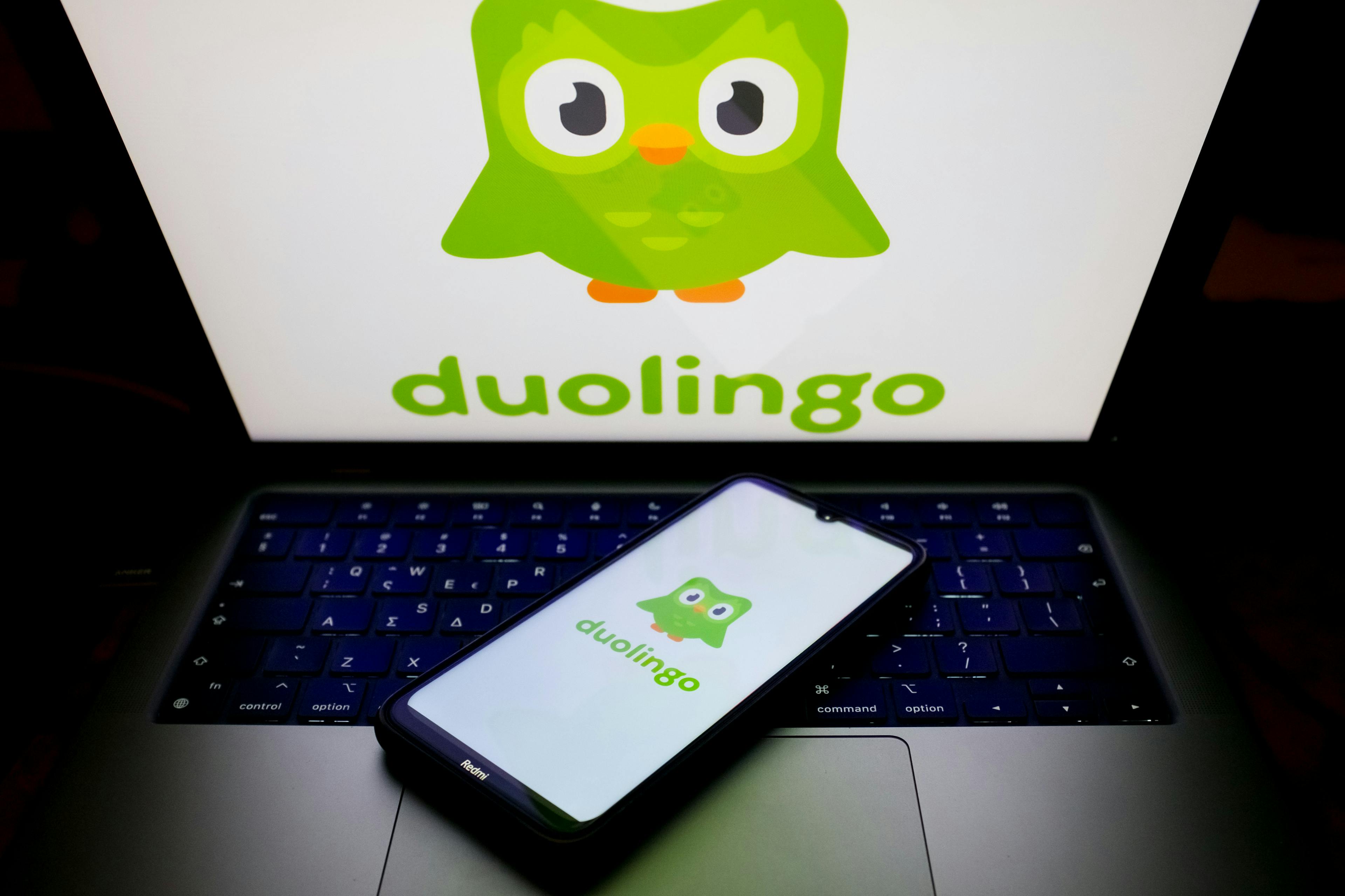 Duolingo owl