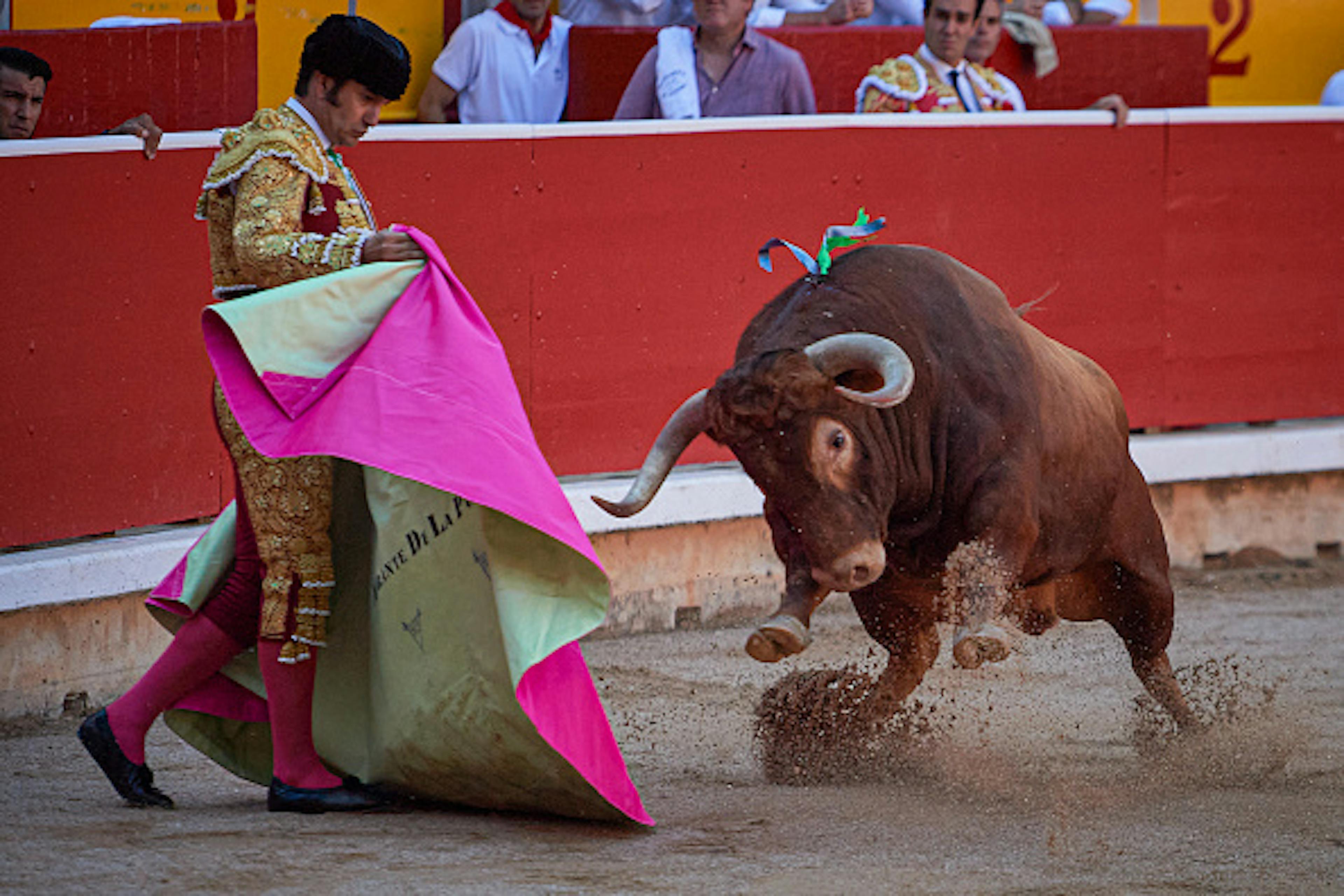 PAMPLONA, NAVARRA, SPAIN - 2025/07/09: Morante de la Puebla, a bullfighter from Seville fights a bull from the Alvaro Nunez ranch in Pamplona's Plaza Monumental during the 2025 San FermÌn festival