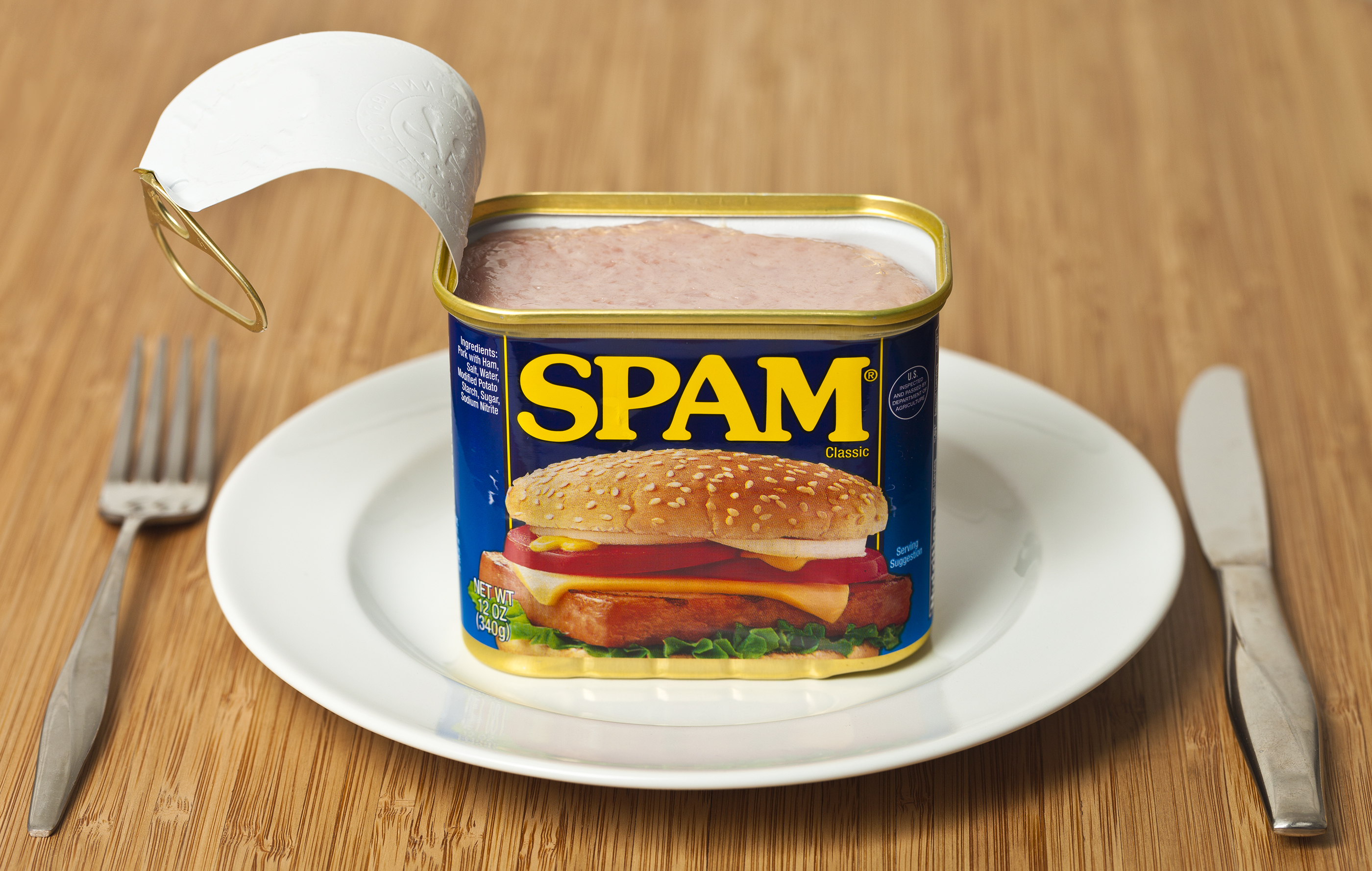 SPAM on a dinner plate.