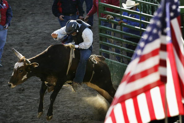 DEL MAR, CA - SEPTEMBER 18: A woman competes in the steer riding event at the gay-oriented 16th Annual San Diego Rodeo, on September 18, 2004 in Del Mar, California. 