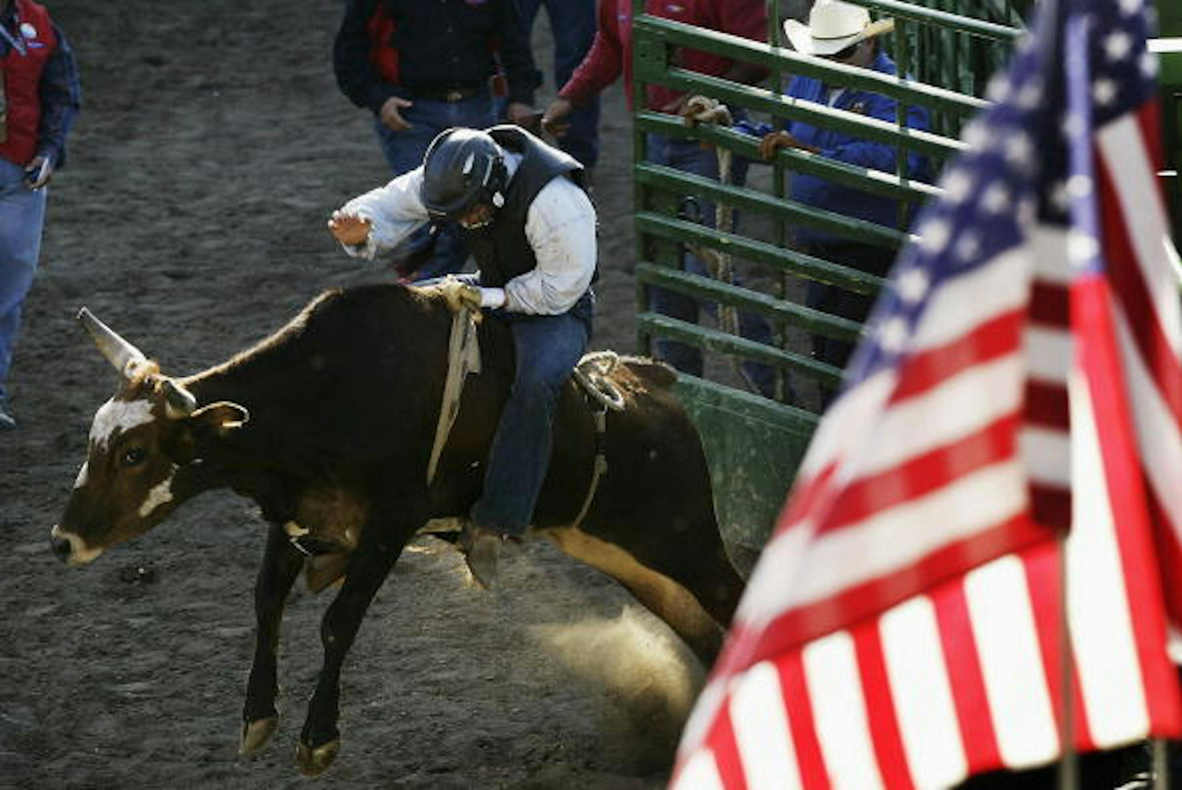 DEL MAR, CA - SEPTEMBER 18: A woman competes in the steer riding event at the gay-oriented 16th Annual San Diego Rodeo, on September 18, 2004 in Del Mar, California.