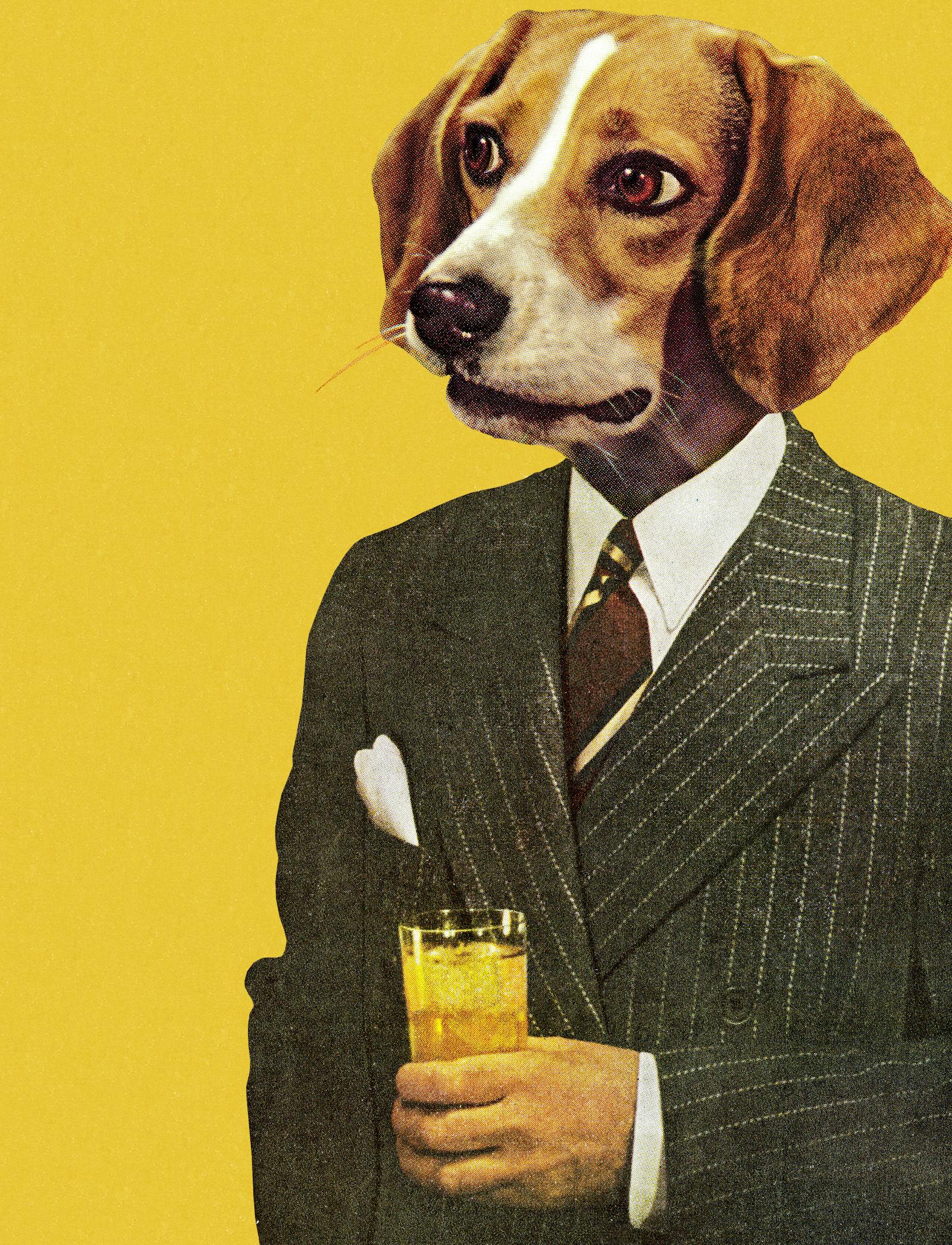 SoundHound AI reports better-than-expected earnings  thumbnail