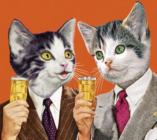 Snacks Hero Cats in Suits