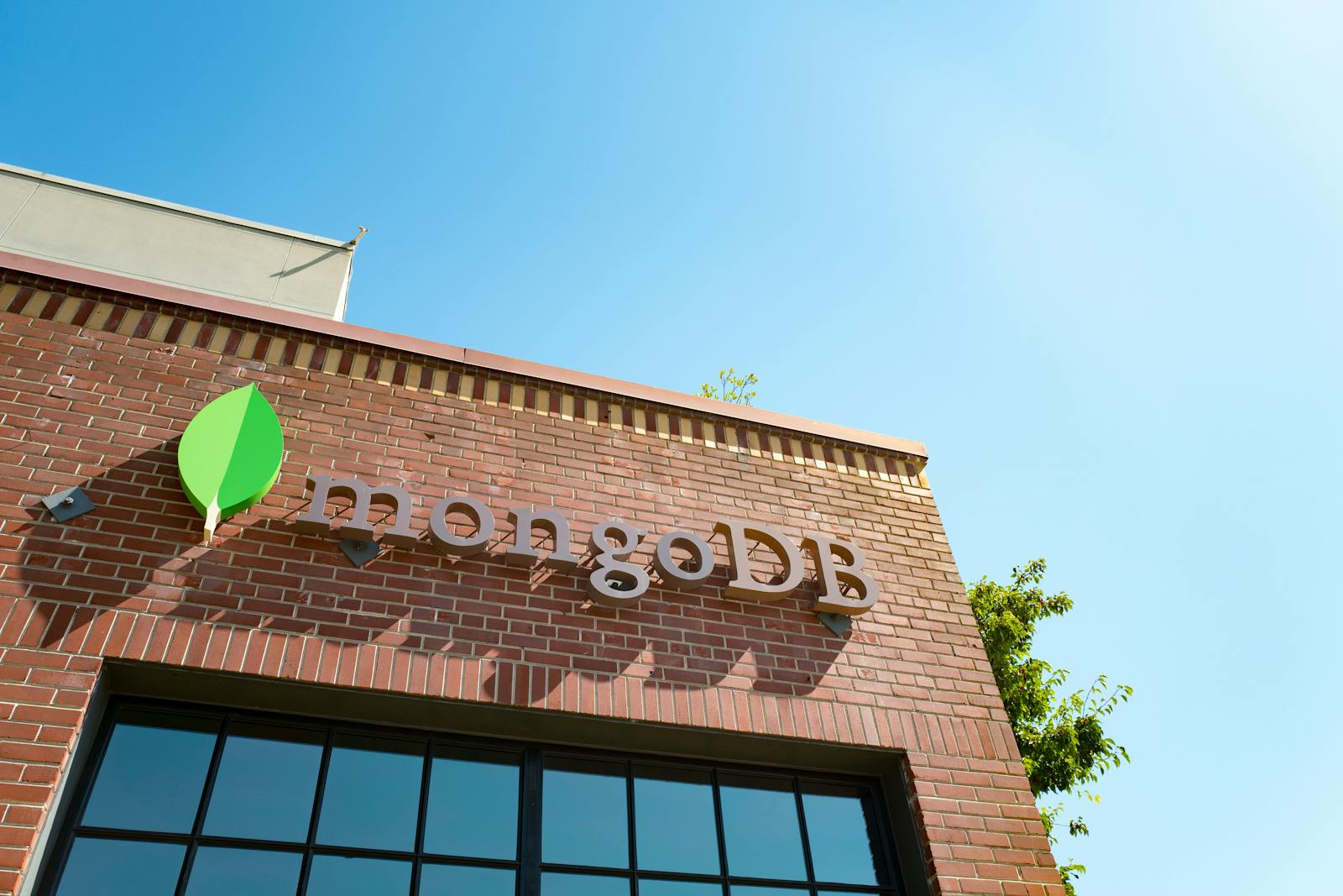 MongoDB vaults on earnings turnaround thumbnail