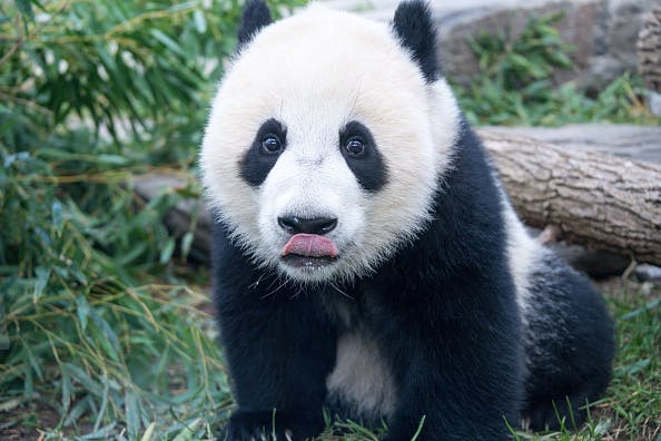 Stocks lose steam after trade tensions reignite thumbnail