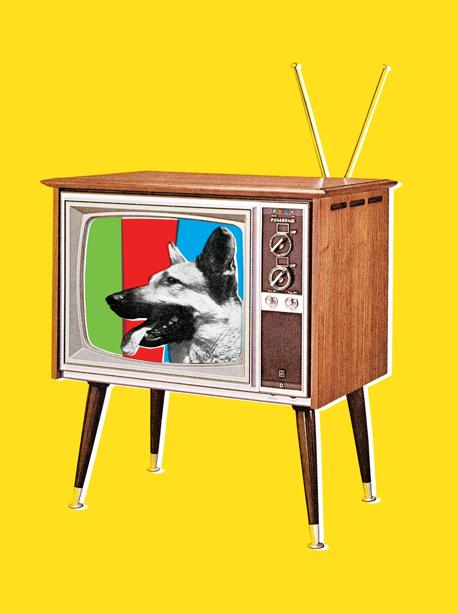 The chairman of Sinclair, a Trump-friendly local TV giant, is on a stock-buying binge thumbnail