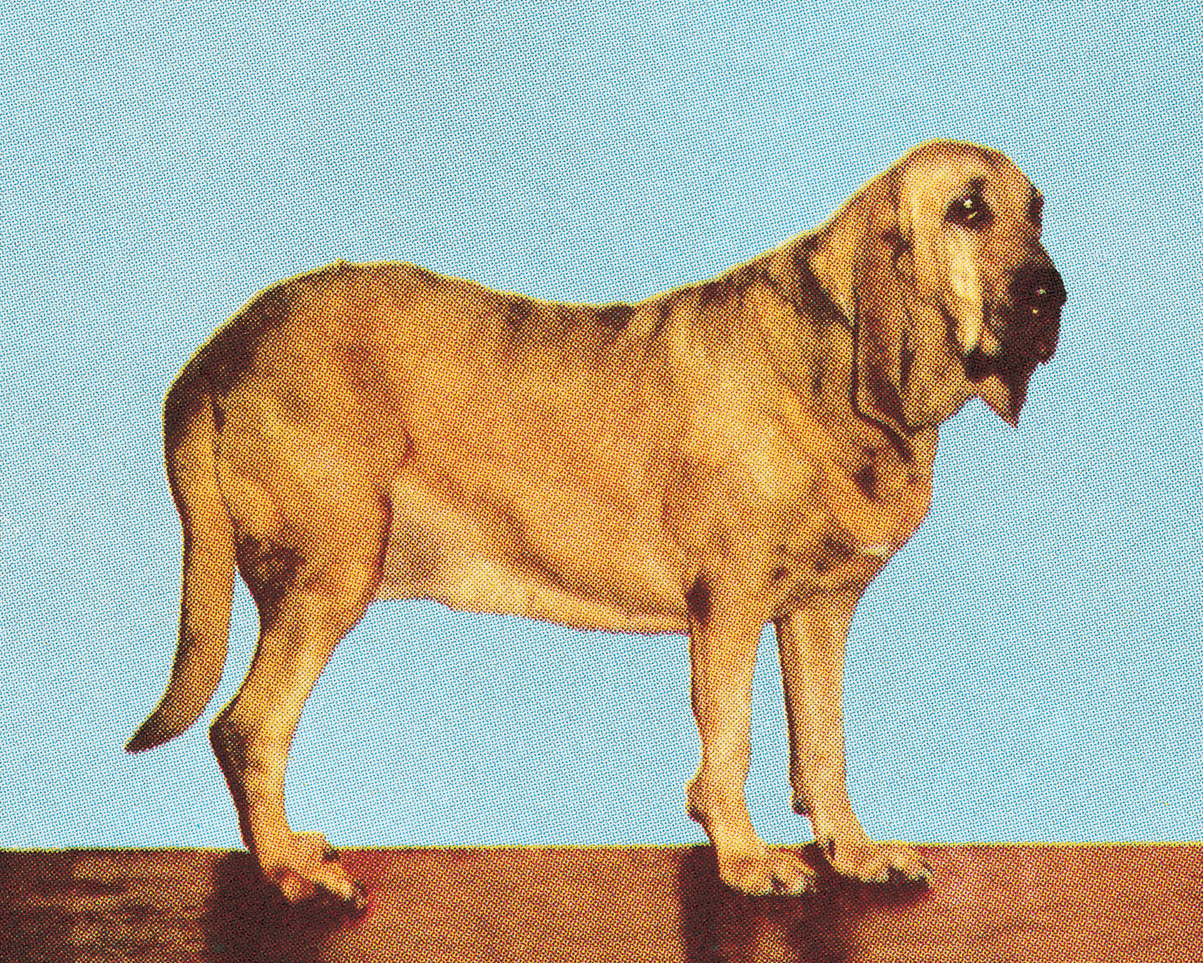 SoundHound AI SOUN soars