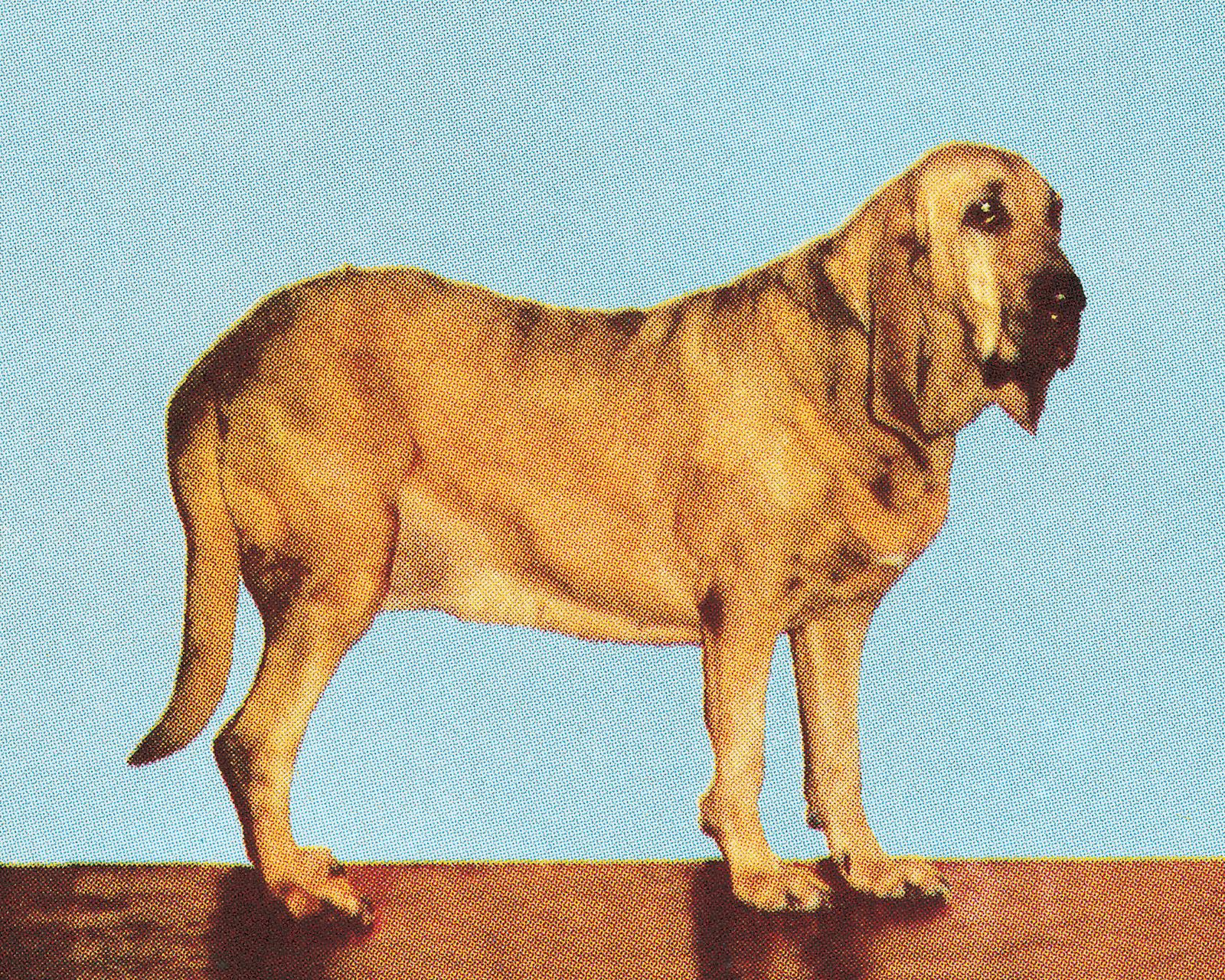 SoundHound AI sees second straight day of option-fueled gains  thumbnail