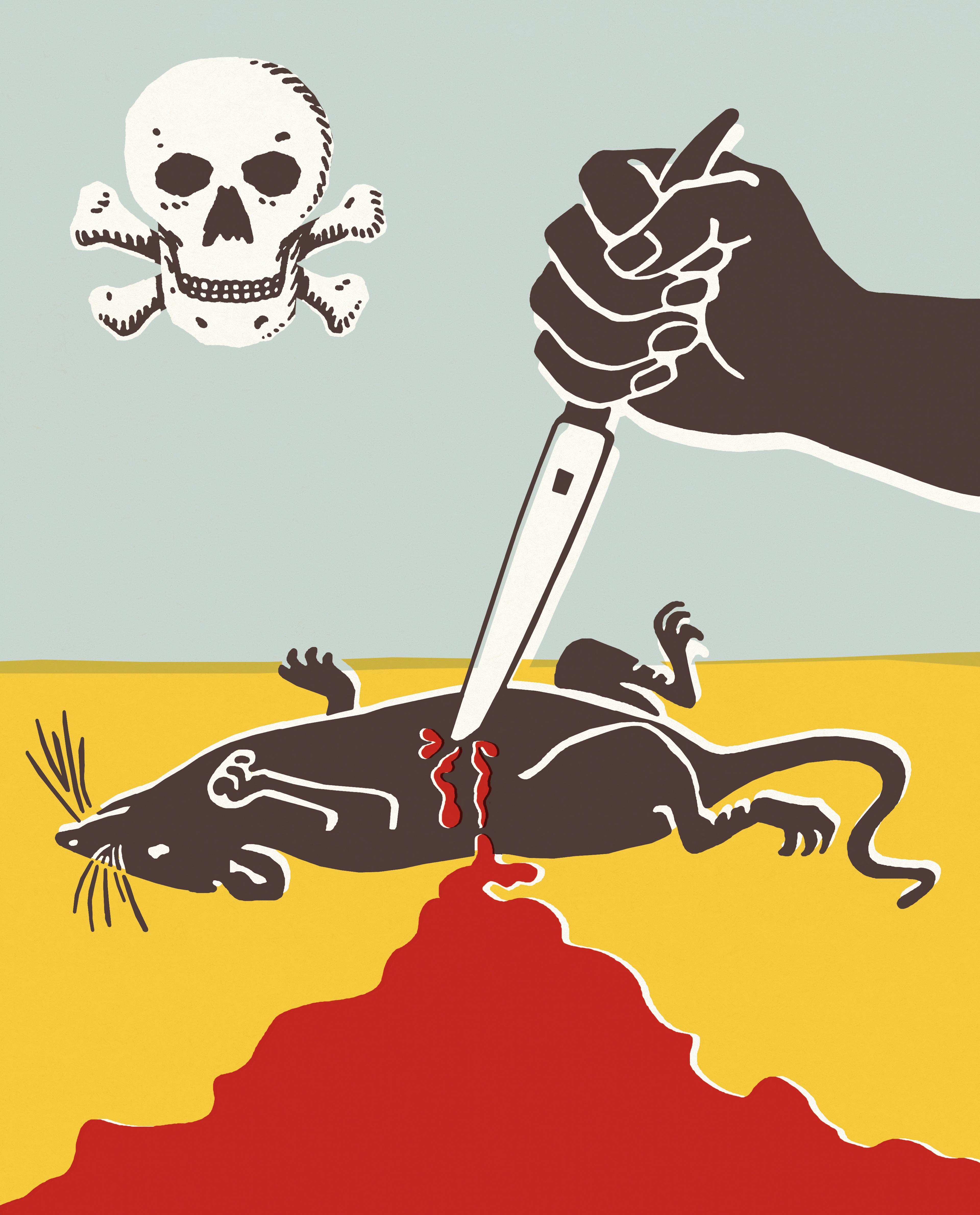 Death Struggle Software