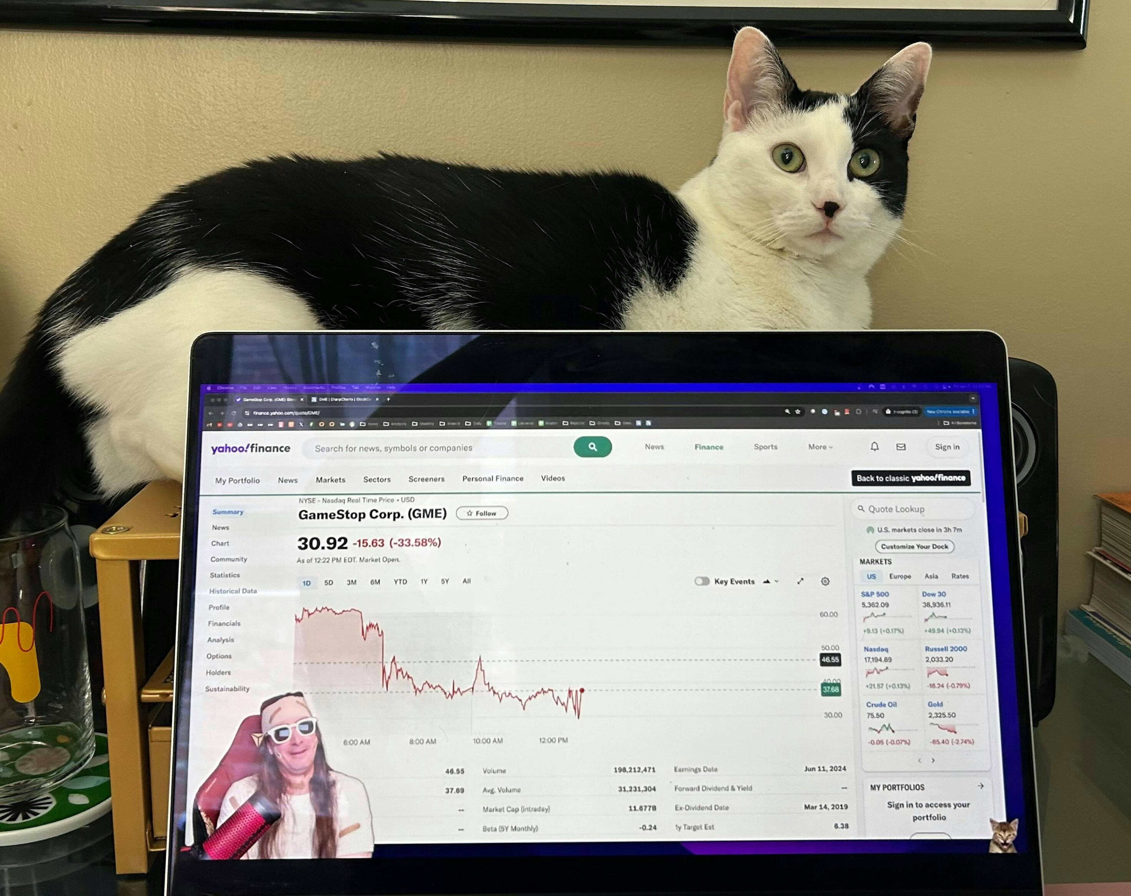 Cowboy oversees Roaring Kitty stream