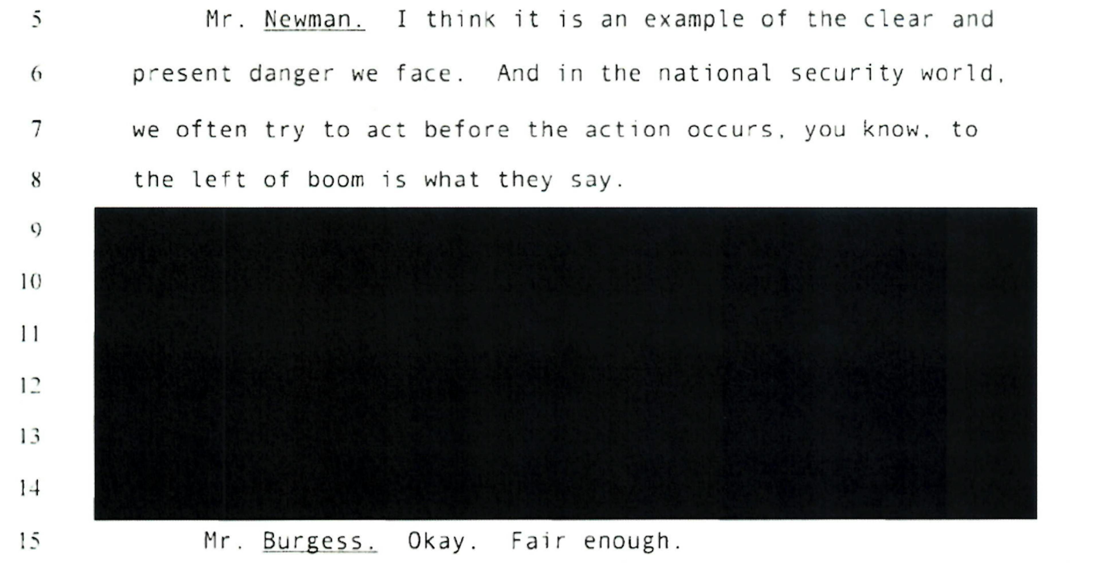 Redacted element of a transcript