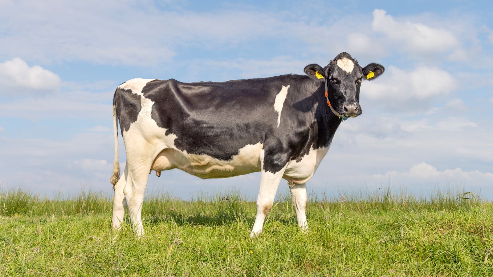 S&P, Nasdaq set records as market shifts focus to Fed thumbnail