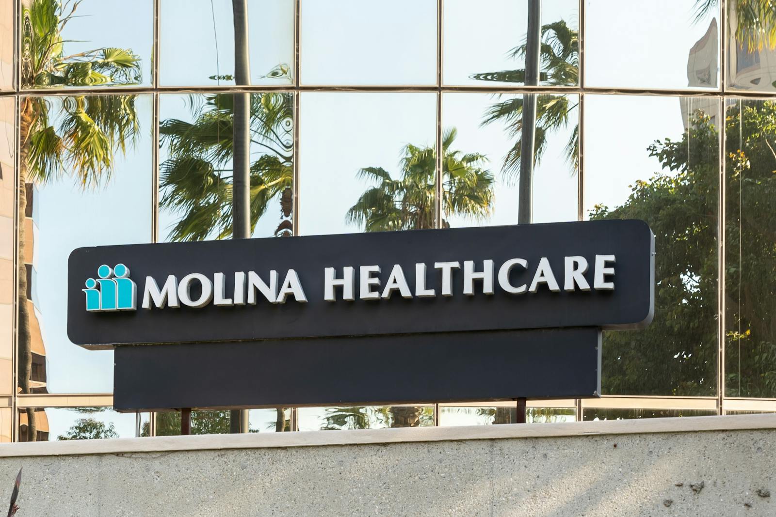 Molina Healthcare soars, bucking industry trend Sherwood News