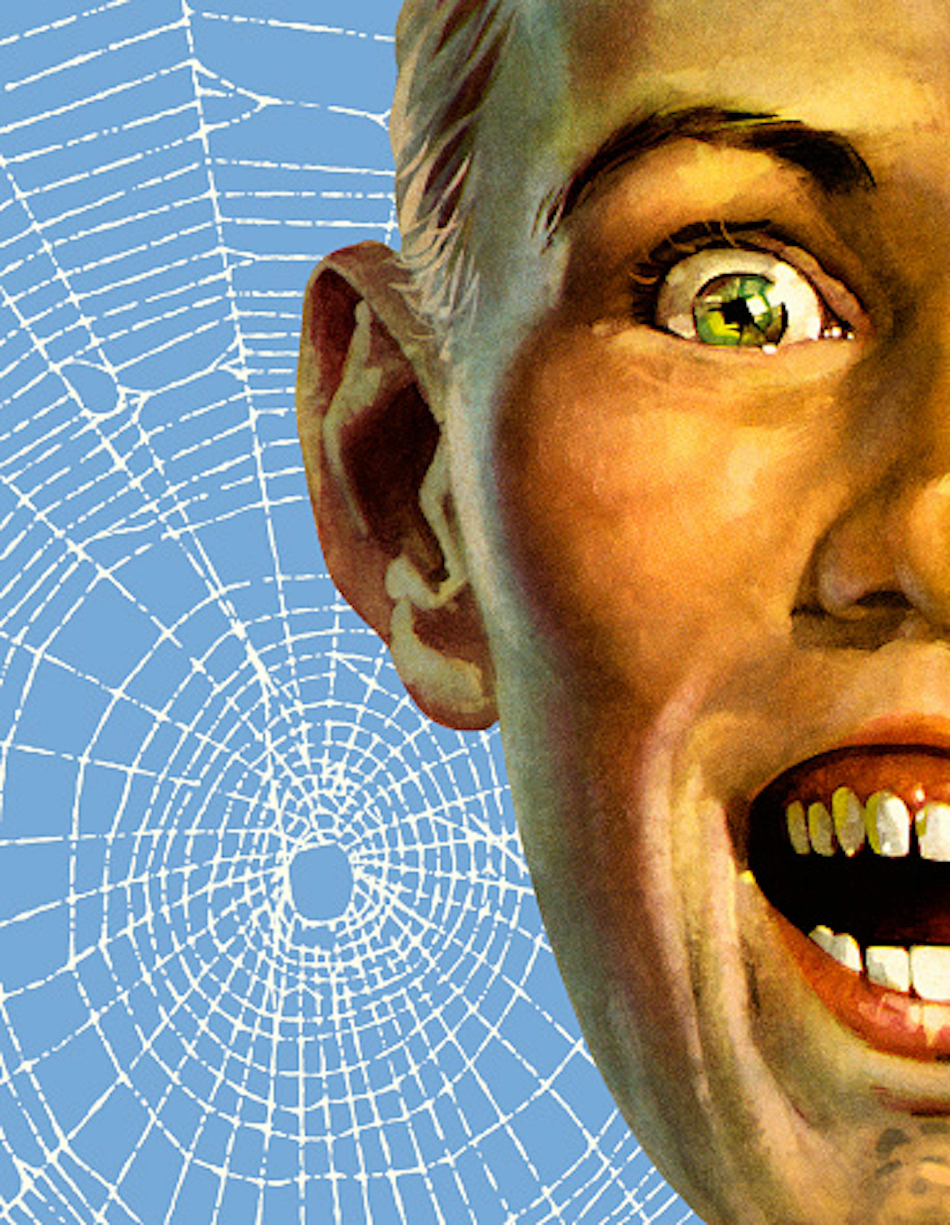 Closeup of a Face and Spiderweb
