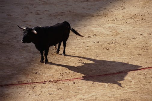 https://sherwoodnews.imgix.net/mwphzyq69oso/en-US/assets/files/10140064_fiesta-corrida-pamplona-spain.jpg?auto=compress%2Cformat&cs=srgb