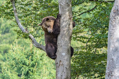 Market wrap: S&P 500 down heavily as volatility has its biggest-ever intraday spike thumbnail