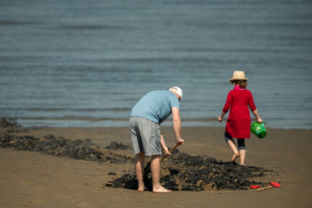 Broadcom and Nvidia are capitalizing on the return of the winner-take-all AI trade thumbnail