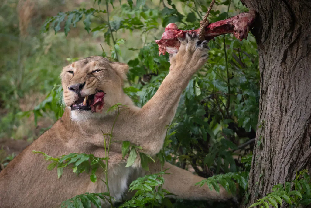 Software stocks fall as ebbing geopolitical risks prompt renewed focus on long-term disruption thumbnail