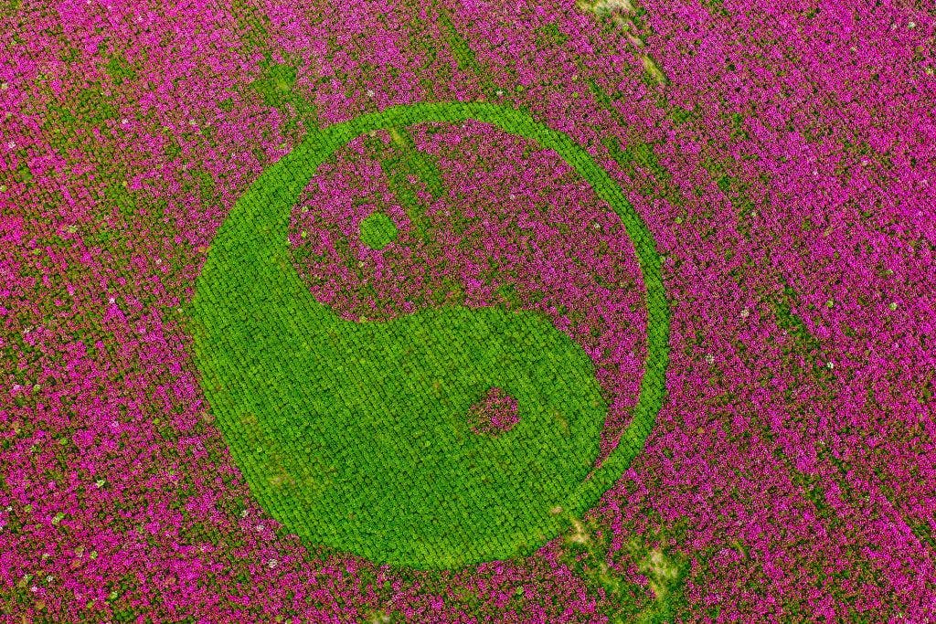 The S&P 500 hasn’t been this oversold and overvalued at the same time in over a quarter century thumbnail