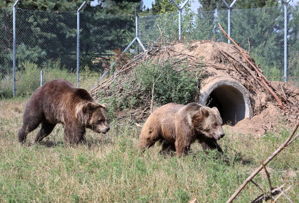 Market wrap: S&P 500 wavers to end lower after Fed's big rate cut thumbnail