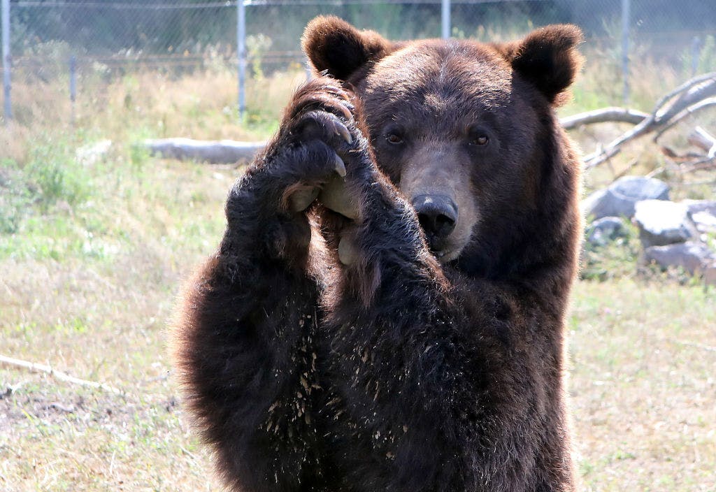 US stocks slump, with tech heavyweights cratering on fresh semiconductor export restrictions thumbnail