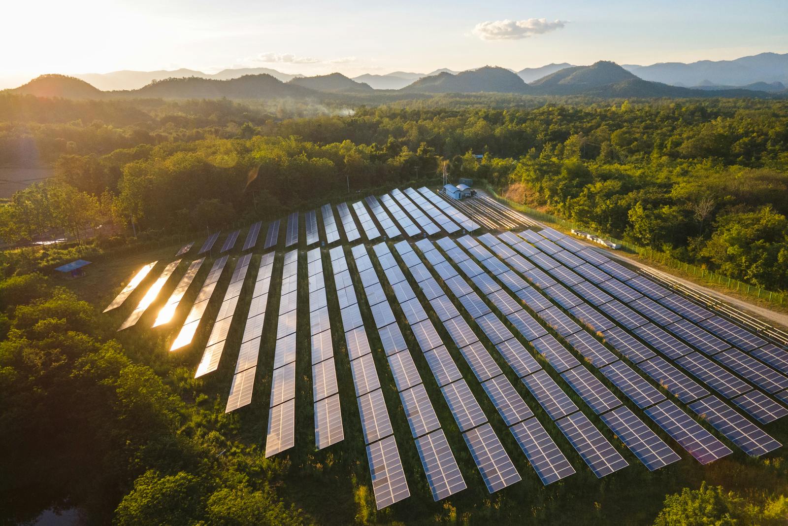 First Solar shines after Q2 beat and brighter full-year outlook thumbnail