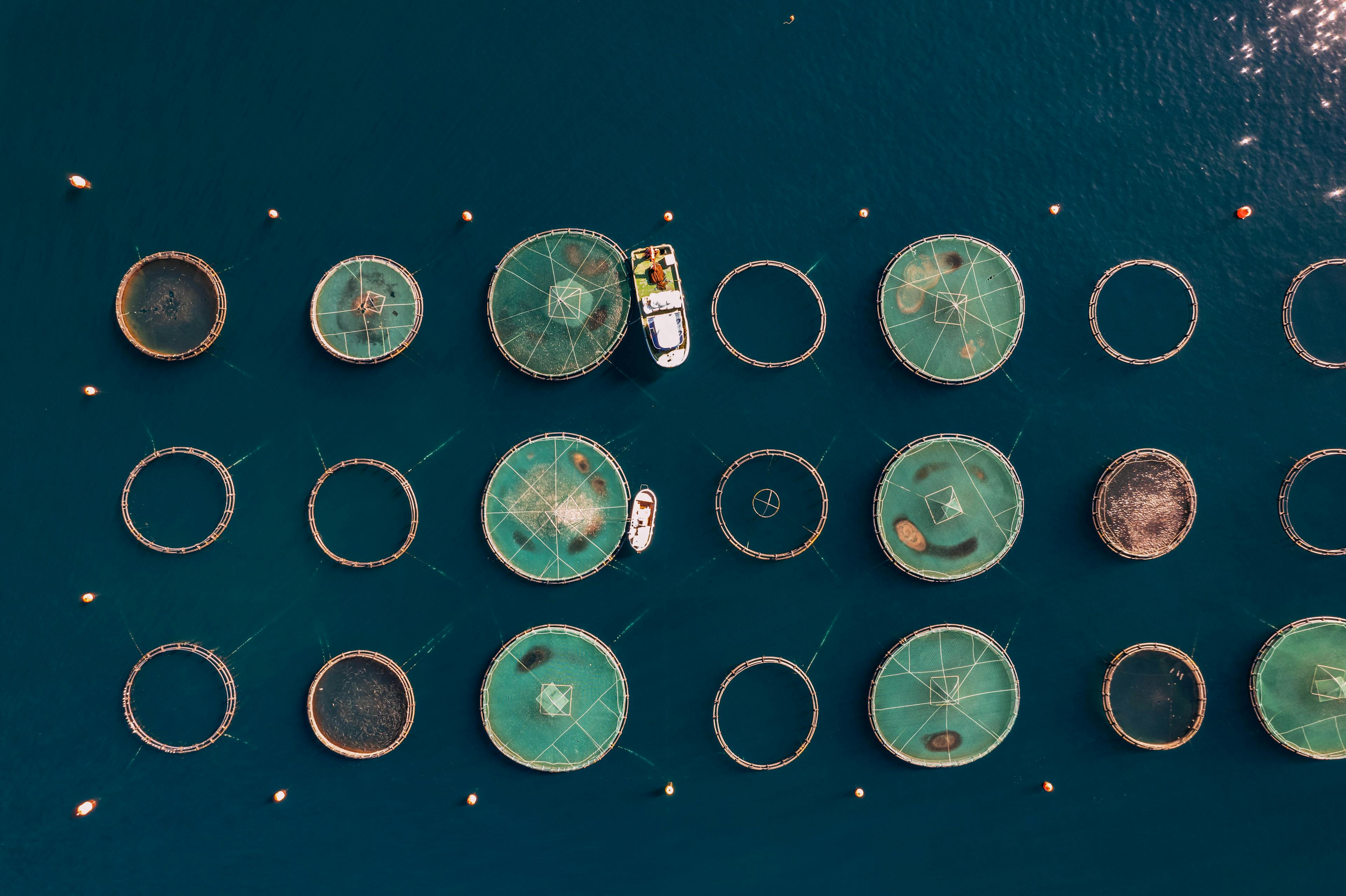 Bird Eye View Fish Farms in the Sea