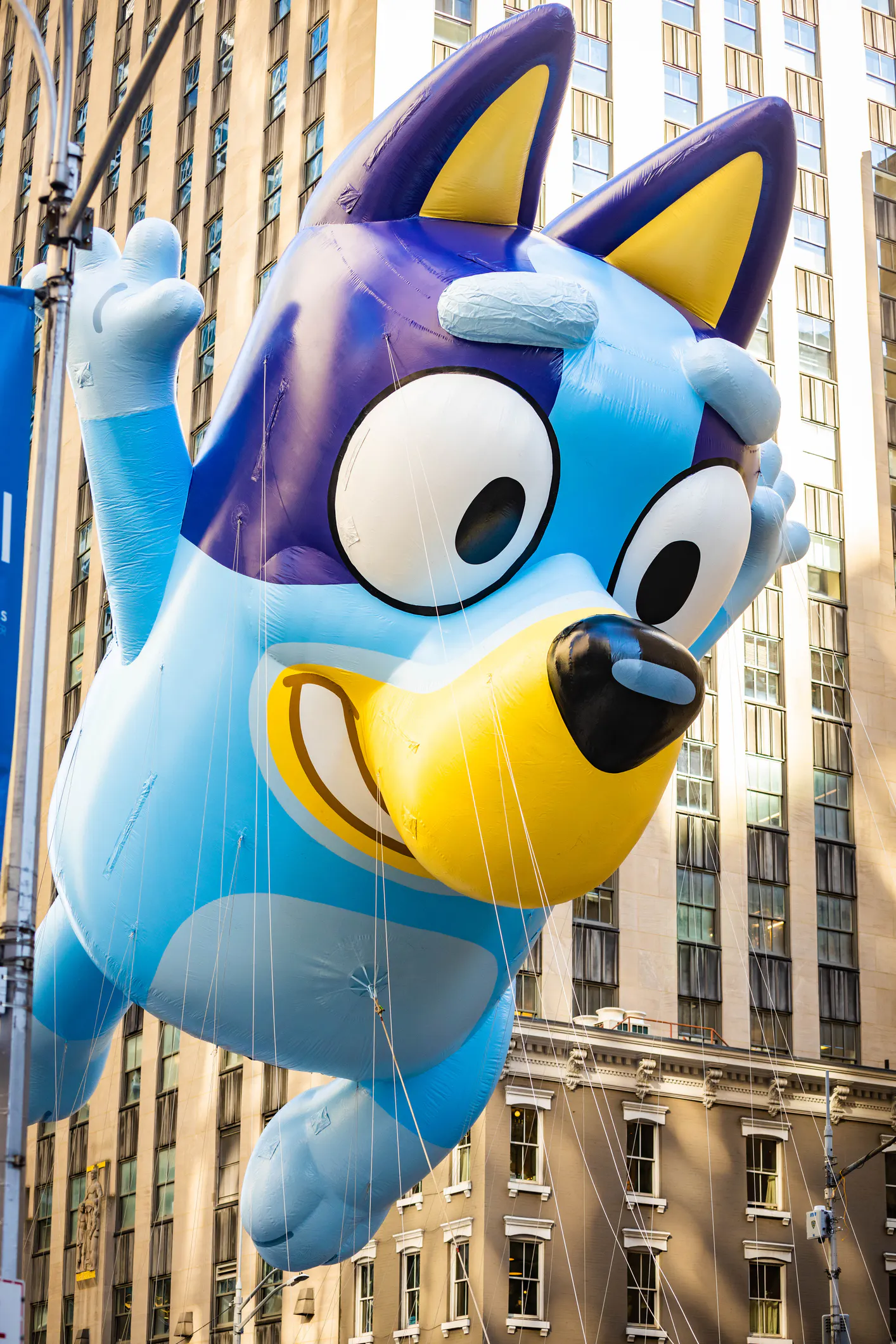 “Bluey” is America’s most streamed show for the second year in a row thumbnail
