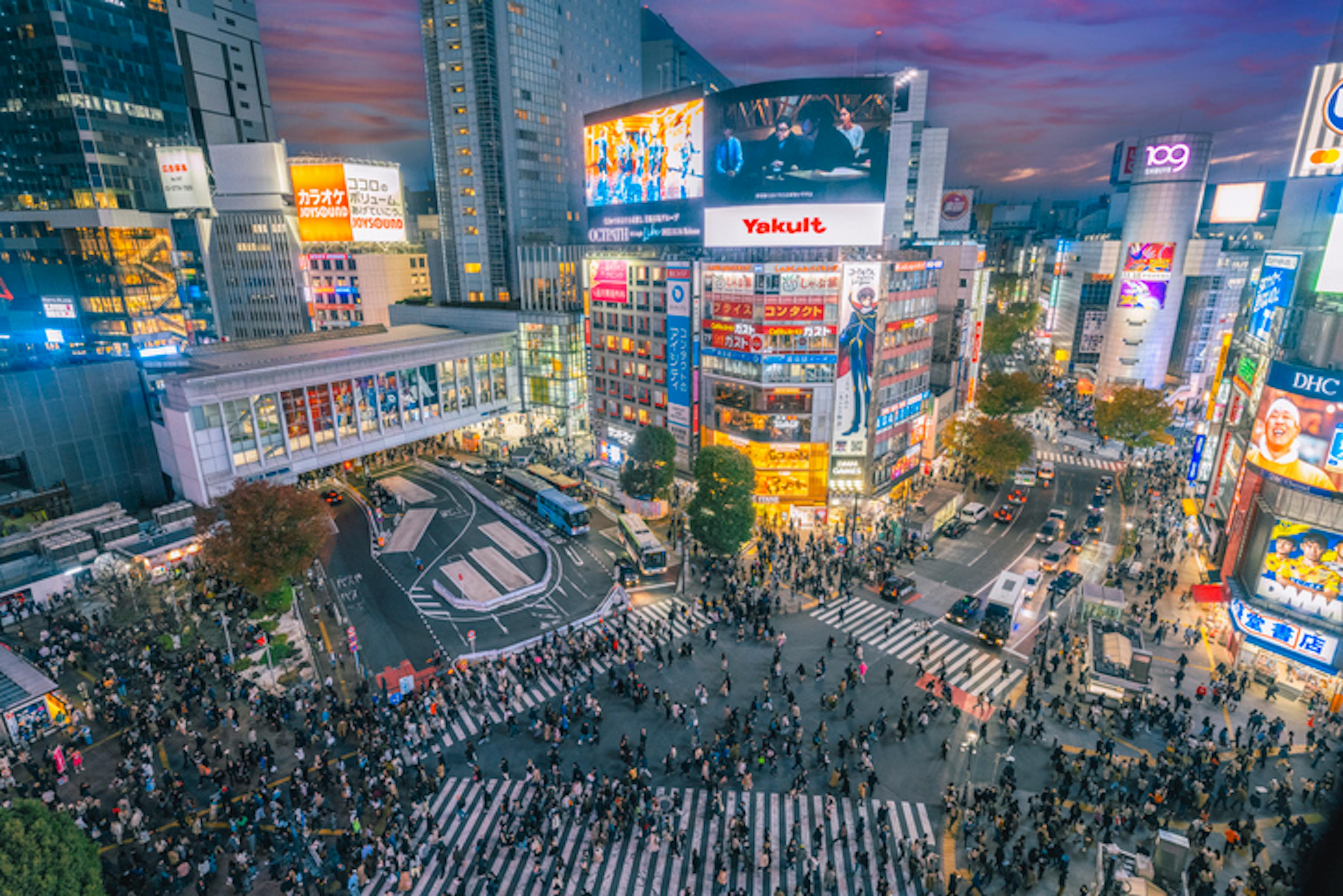 Shibuya pedestrian crossing and city lights, Tokyo, Japan