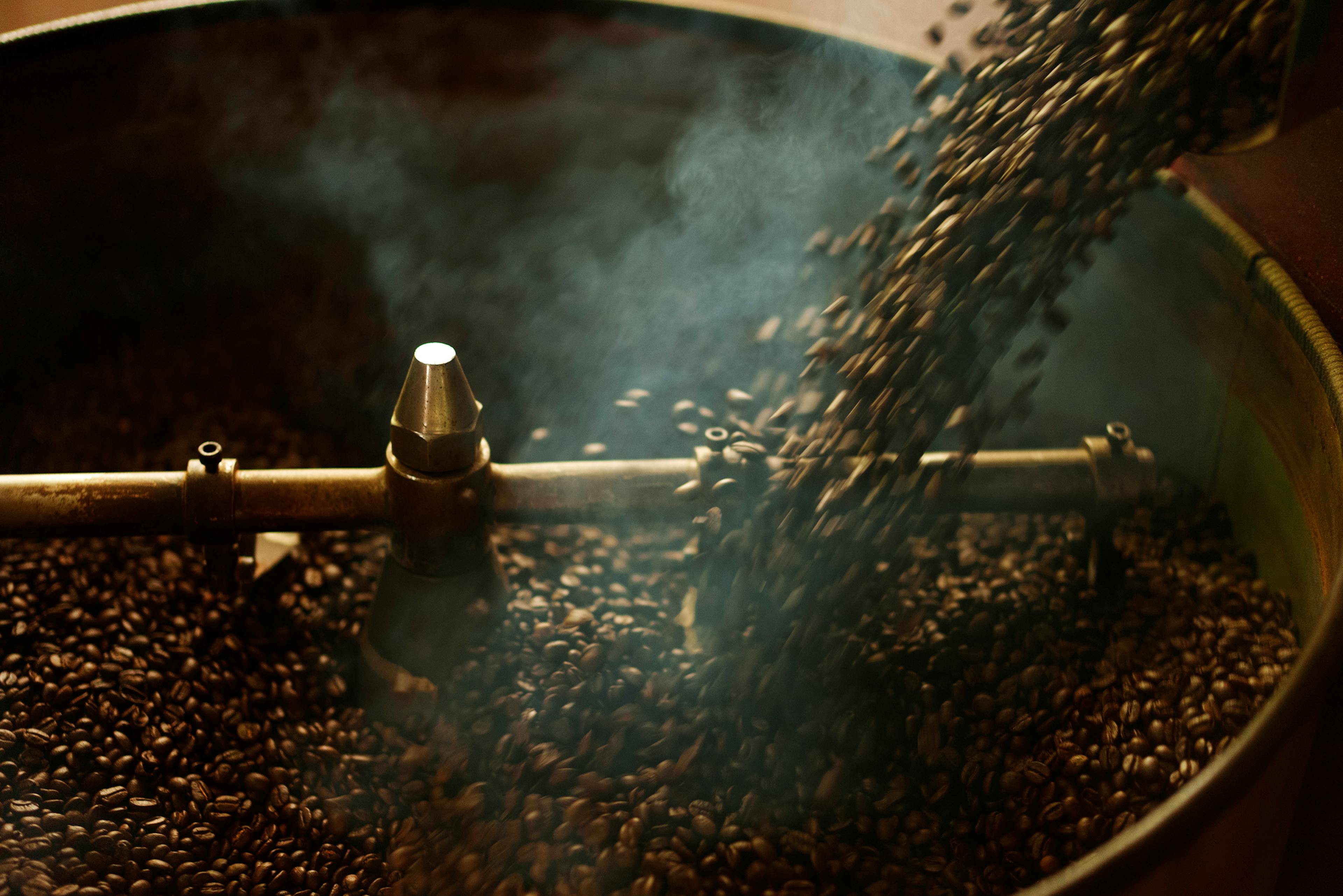 Coffee beans dark roast pouring to cooling batch after finish process Roasting coffee beans