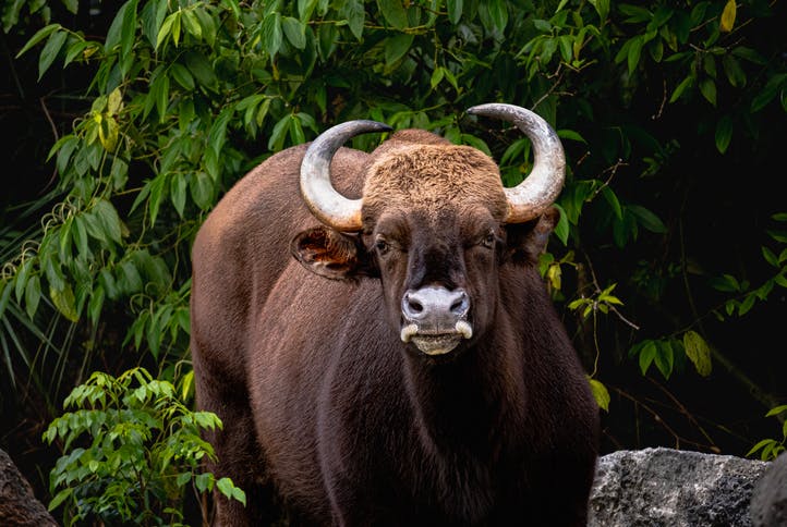 Market wrap: S&P 500 is back to its record-setting ways thumbnail