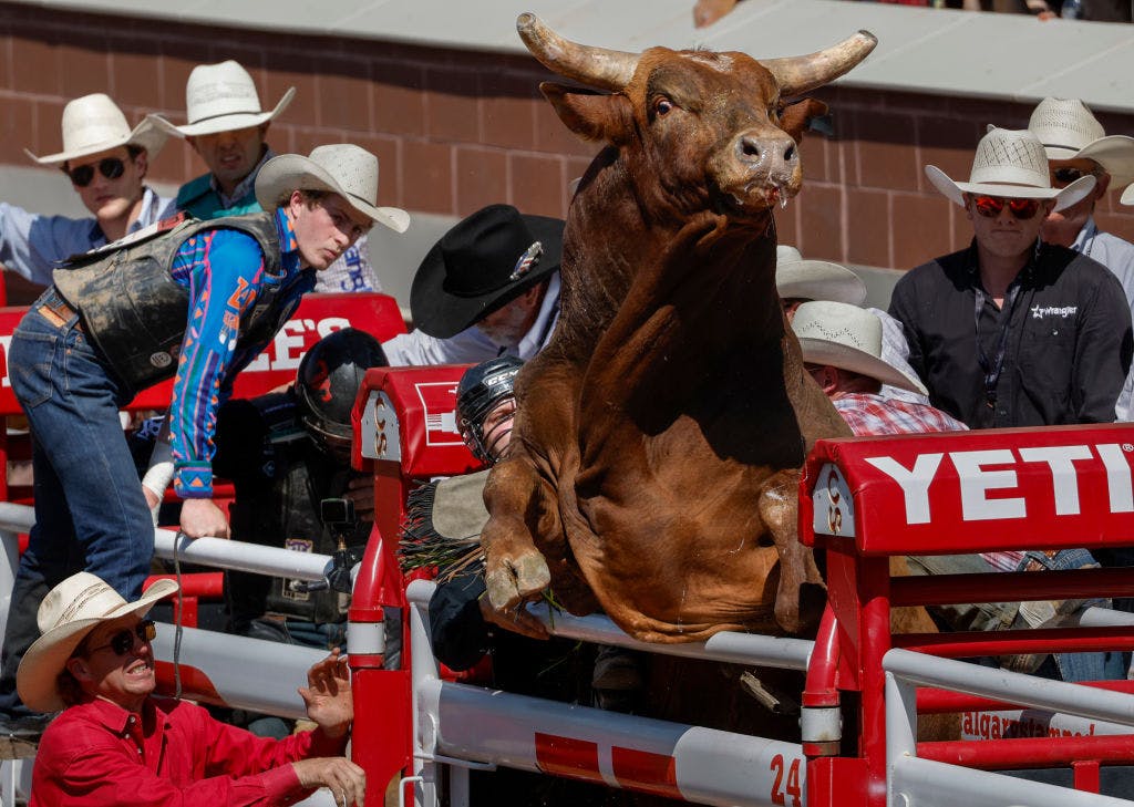 US stocks cheer Federal Reserve’s signal that tariffs won’t derail rate cuts thumbnail