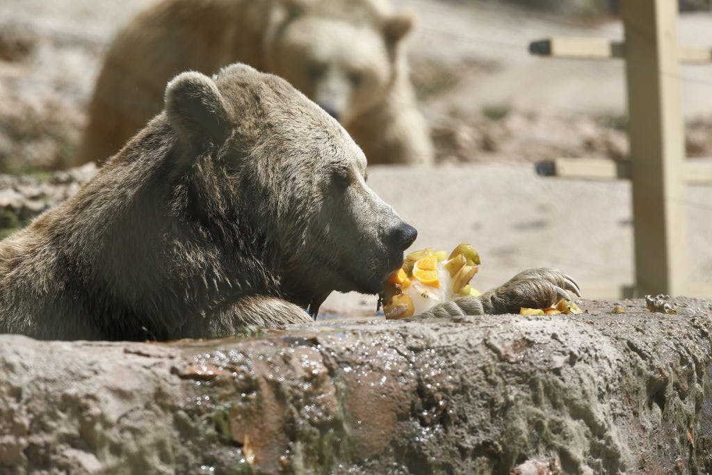 S&P 500 suffers worst loss of 2025 on tariffs and Nvidia-fueled sell-off  thumbnail