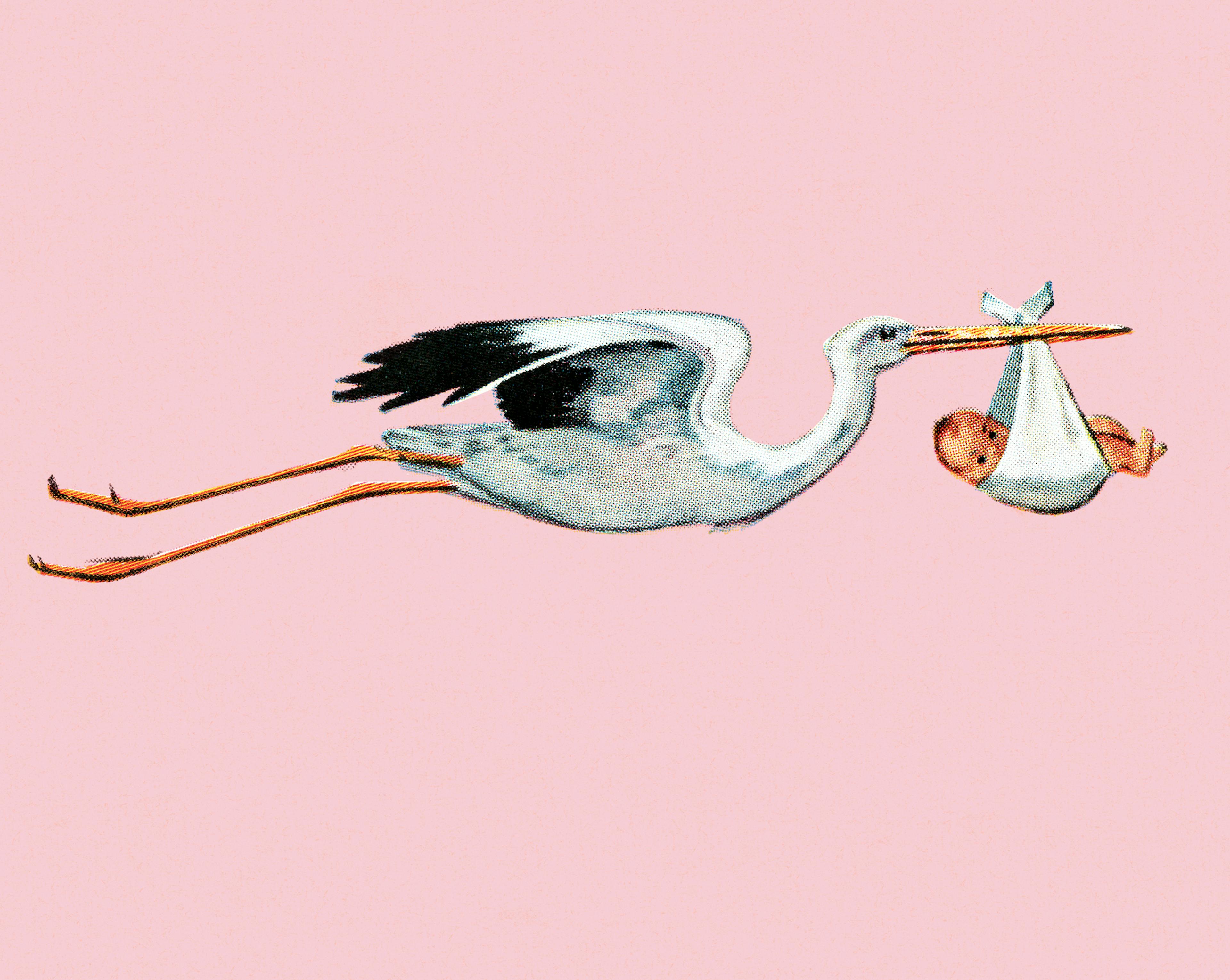 Stork delivery