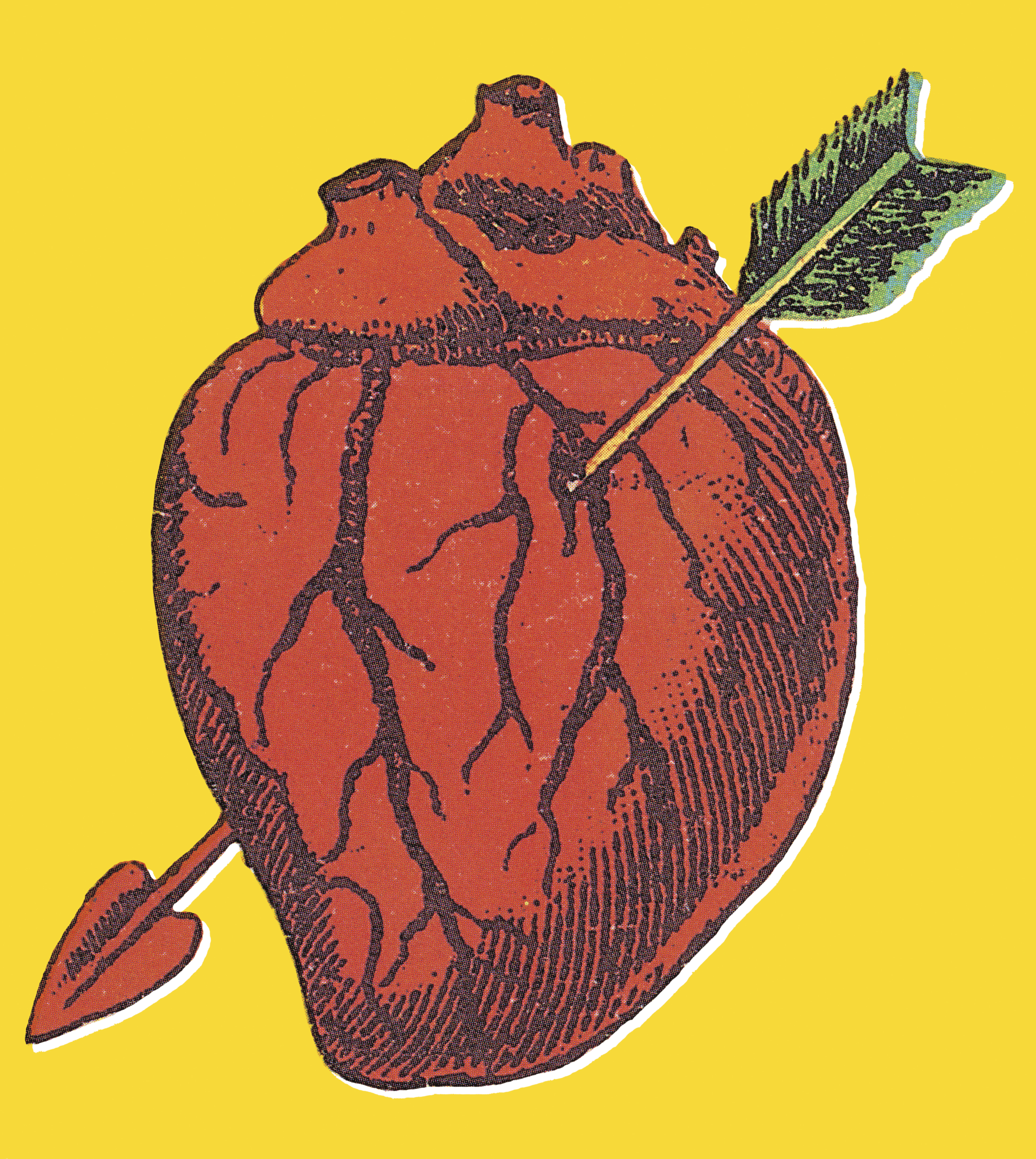 Heart