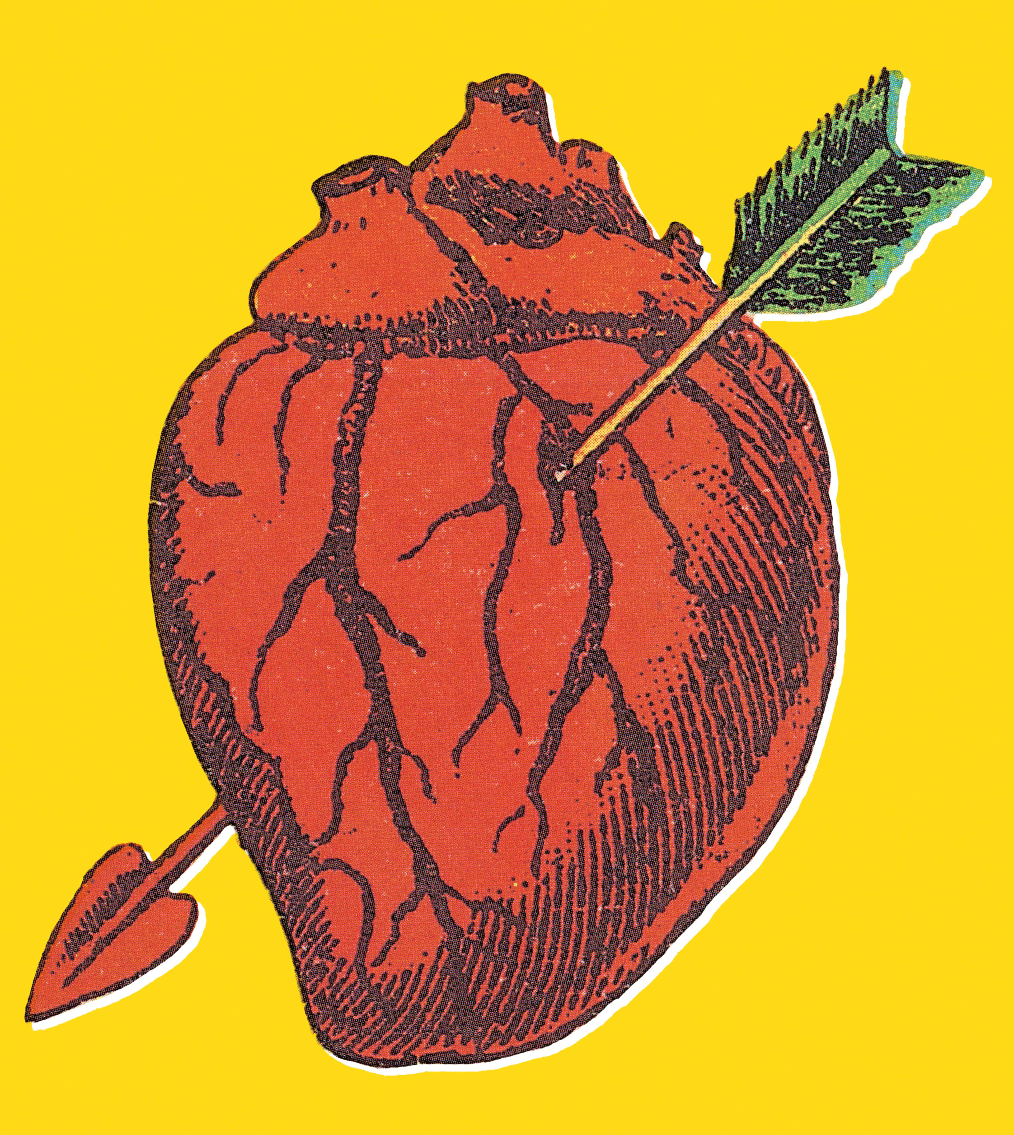Heart