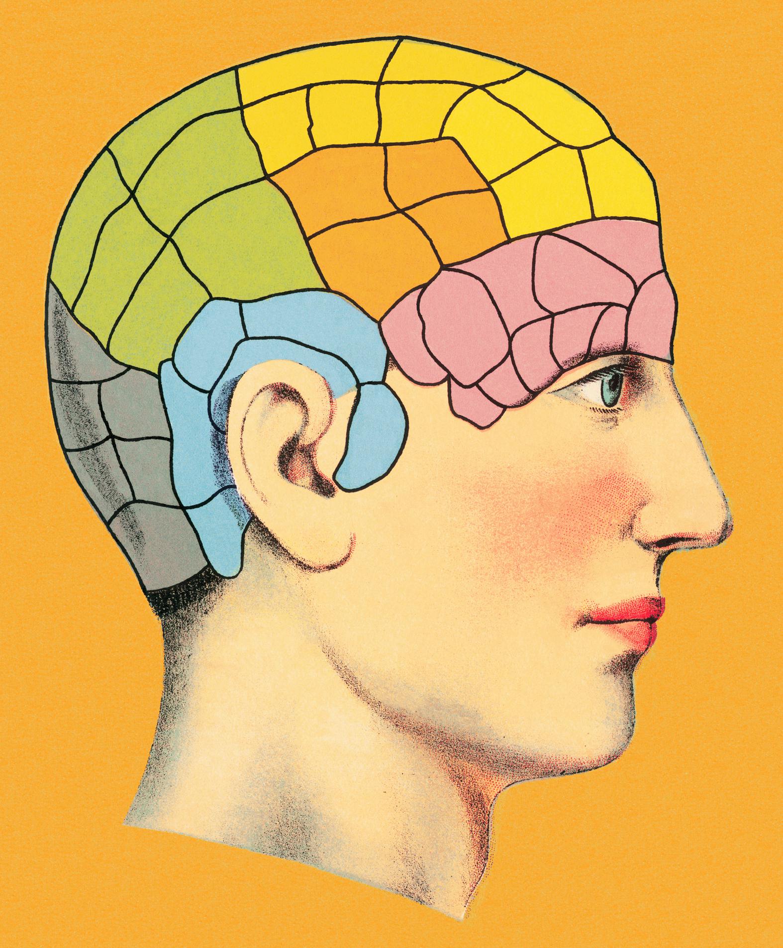 Americans are increasingly looking up “how-tos” for basic life skills thumbnail