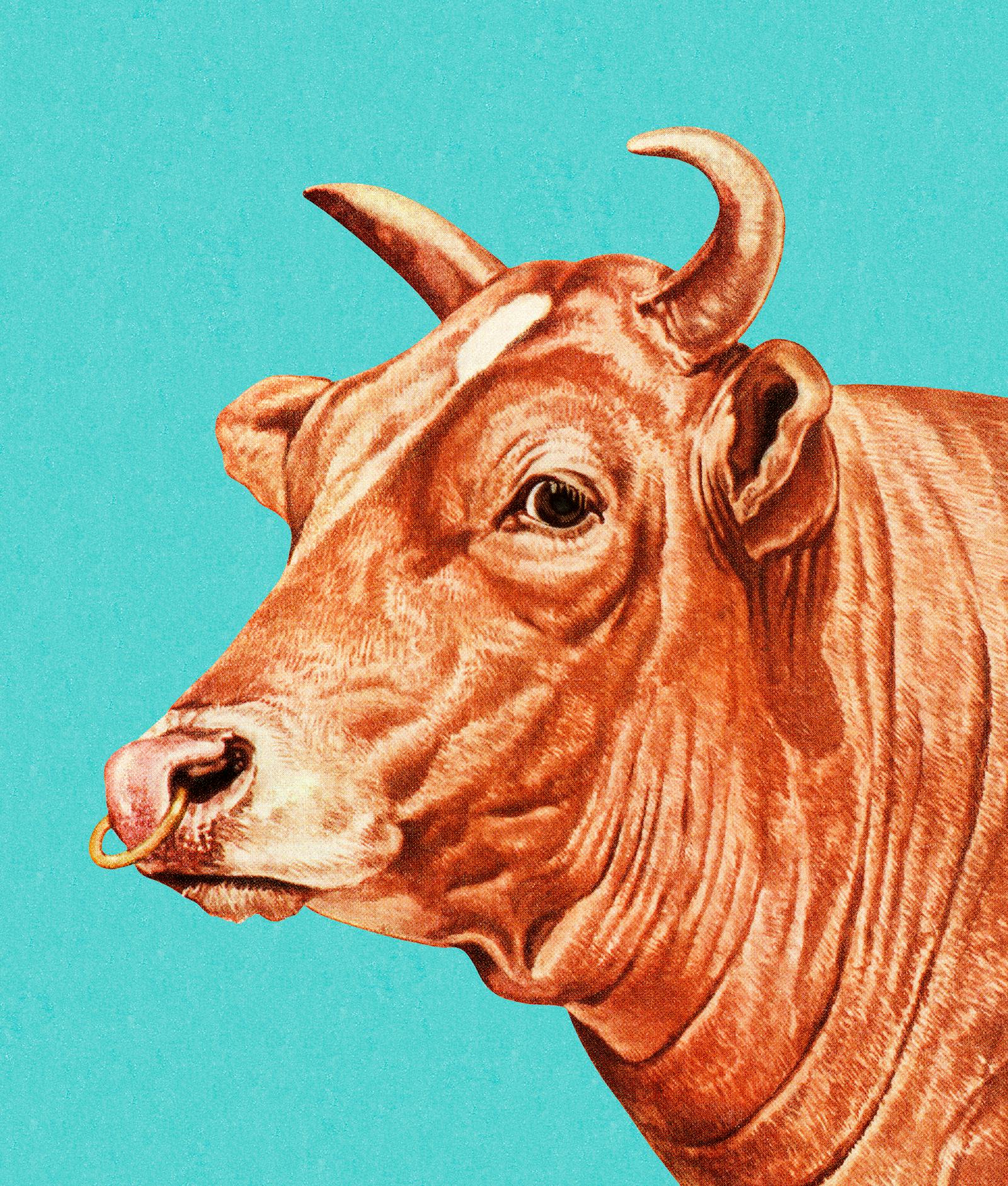 US stocks end volatile week on a positive note thumbnail