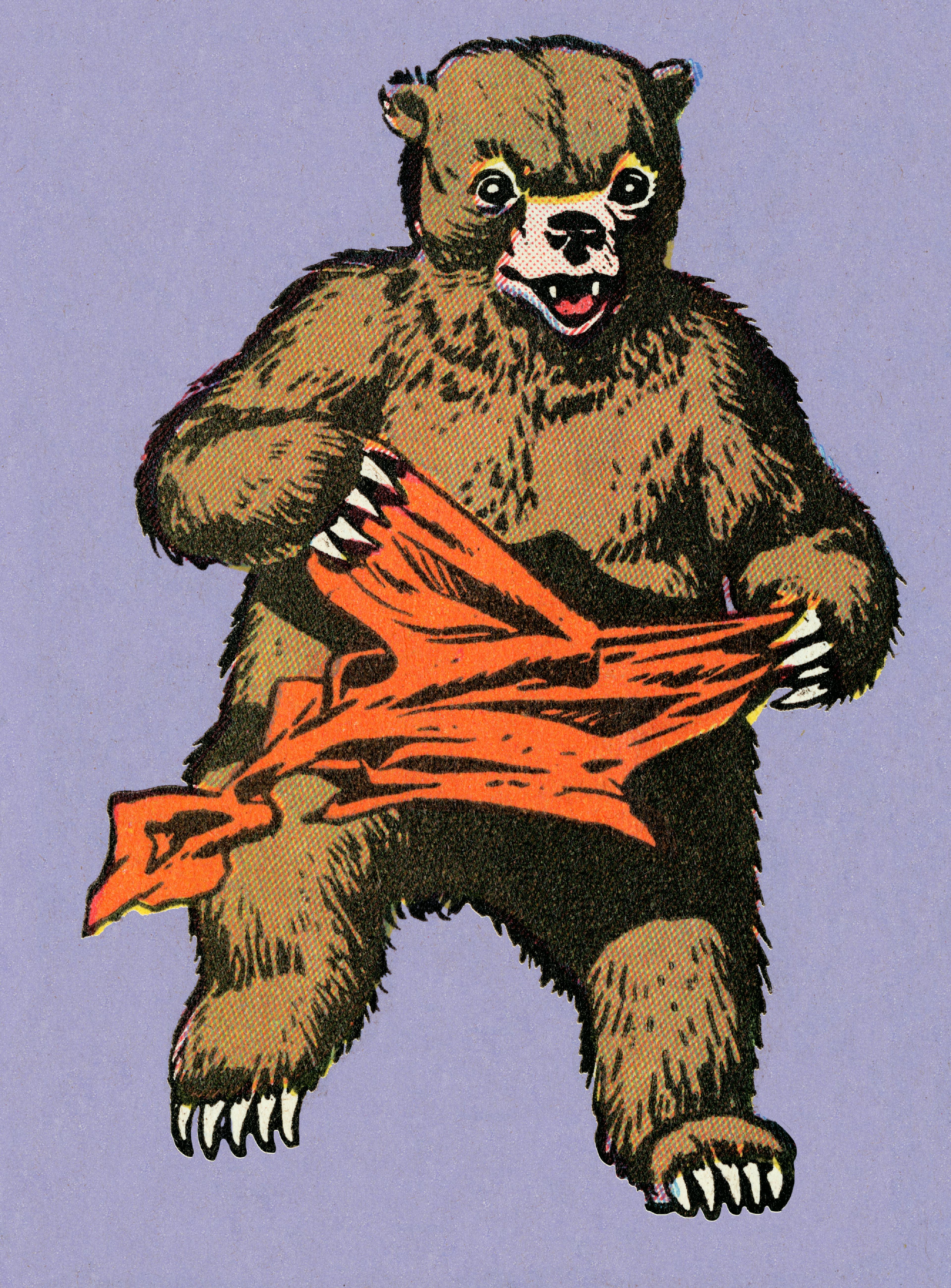 Bear Tearing Fabric