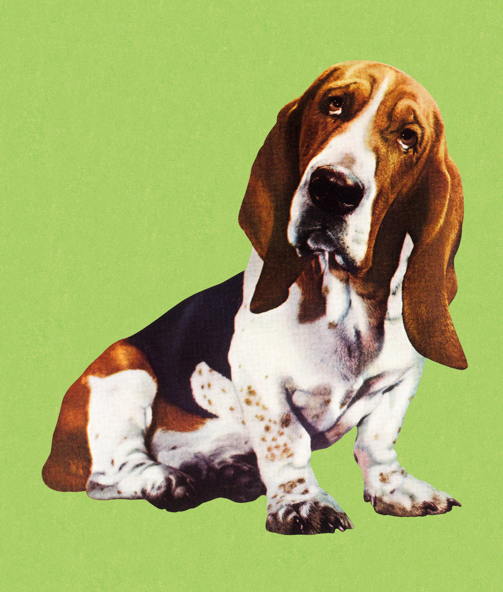 Altcoins have given back the majority of their gains since the Iran war began