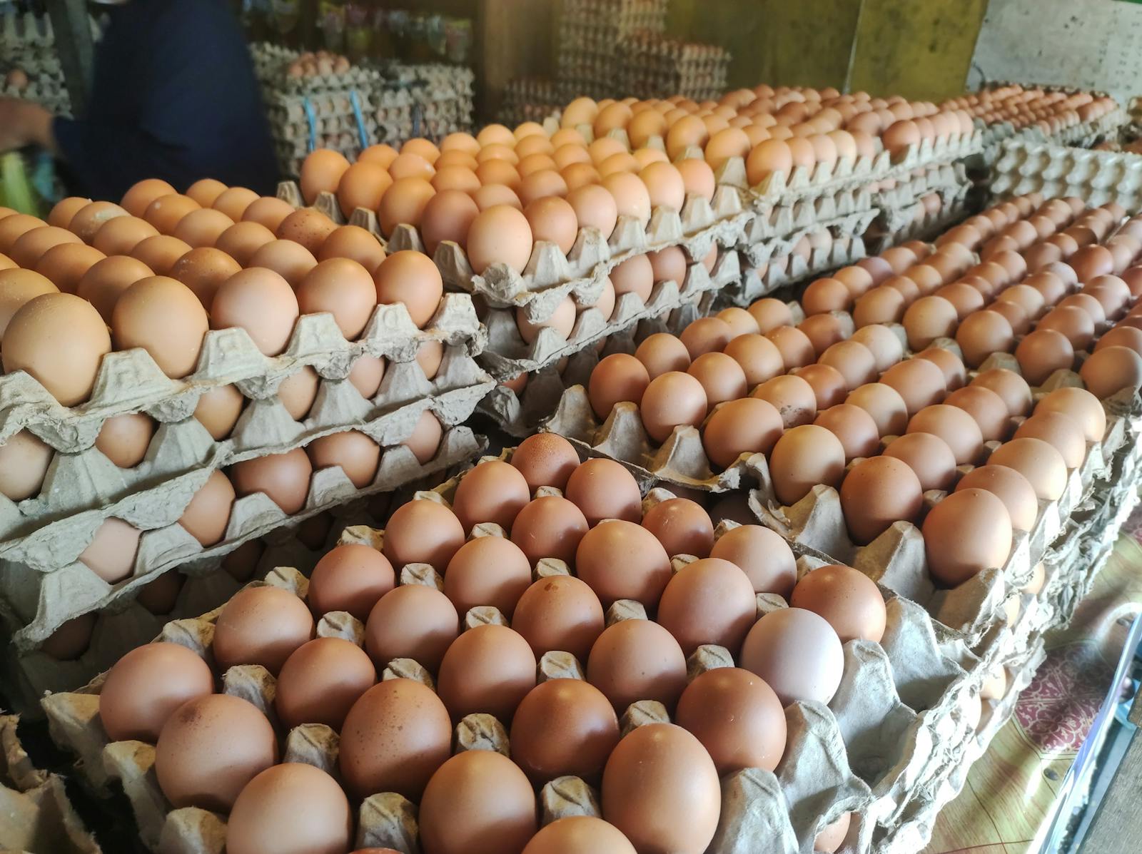 Eggflation: Egg prices are up 58% since the end of November, hitting a record high thumbnail