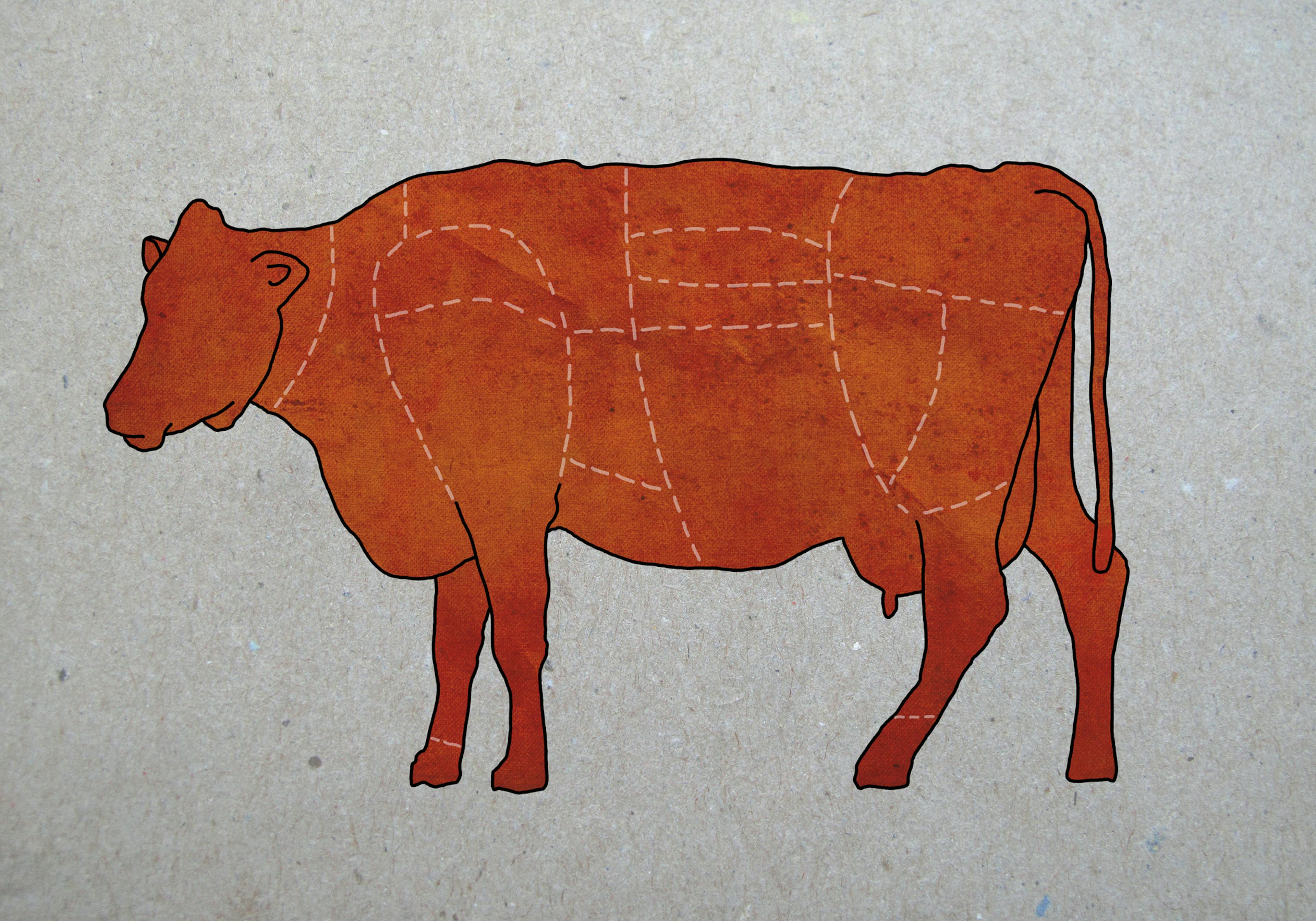 A butcher's diagram of a cow