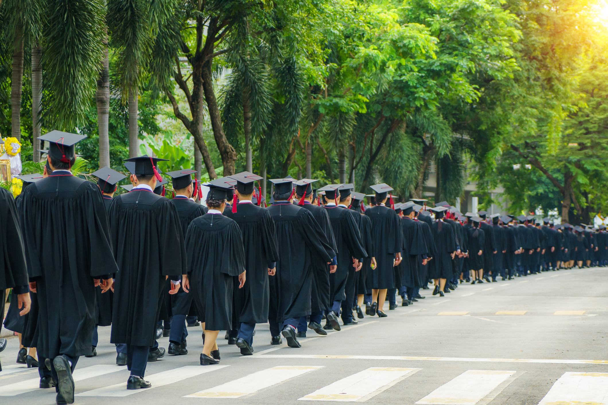 Rear view of graduates in caps and gowns